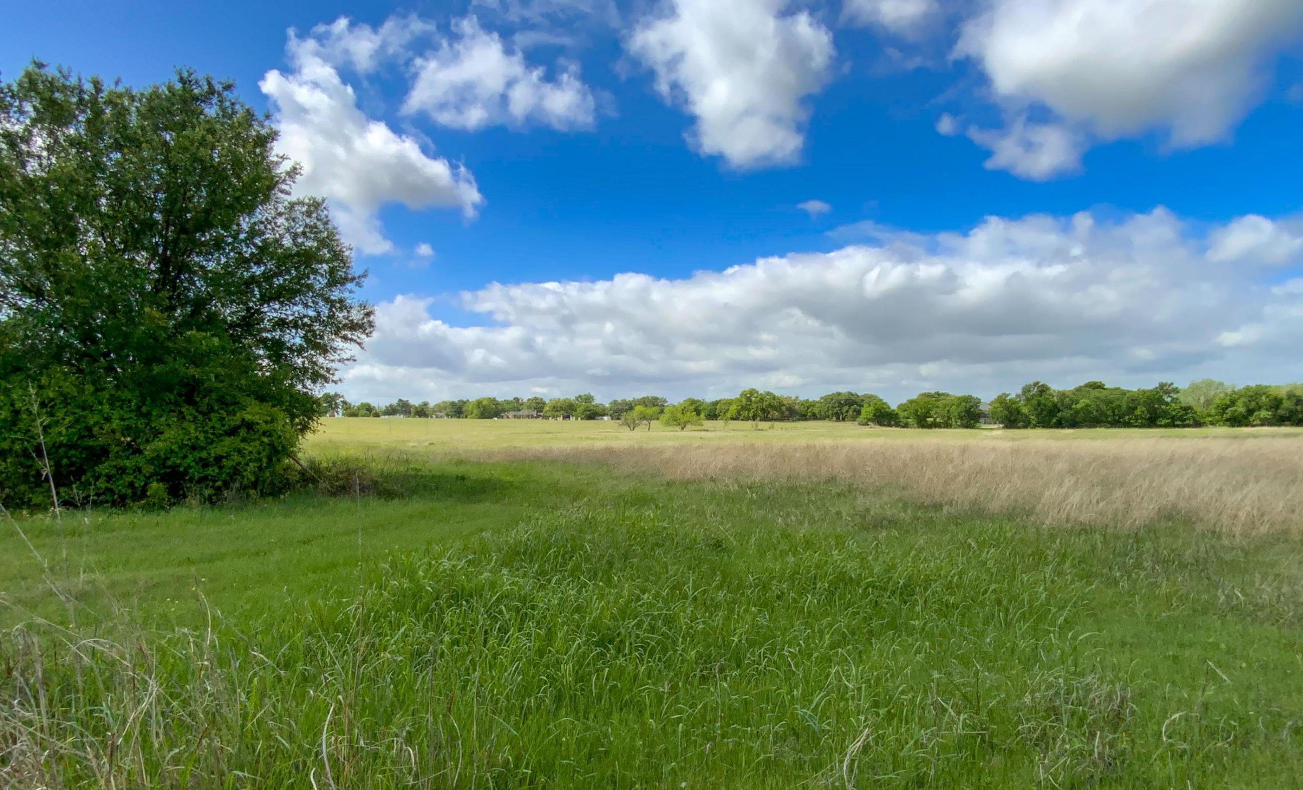 Twin Oaks Ranch property photograph 1