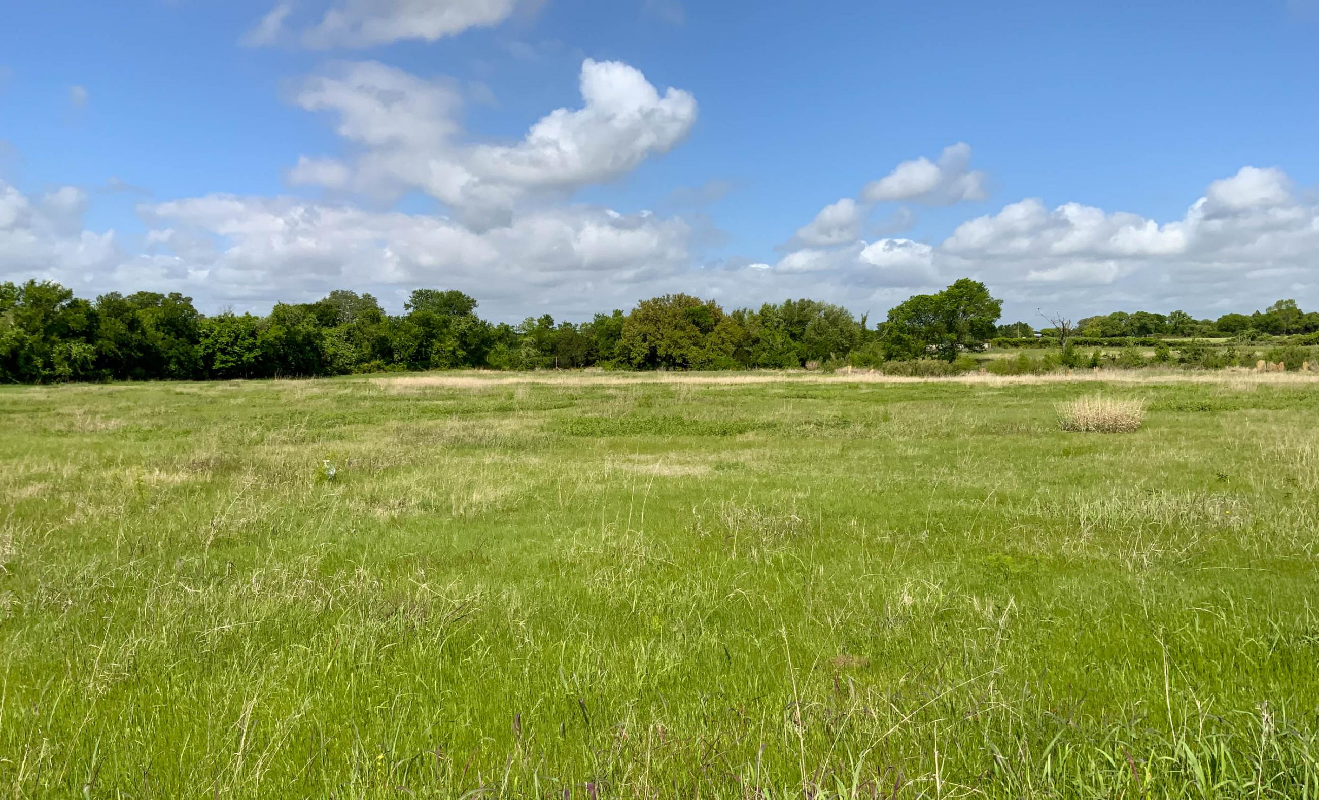 Twin Oaks Ranch property photograph 14