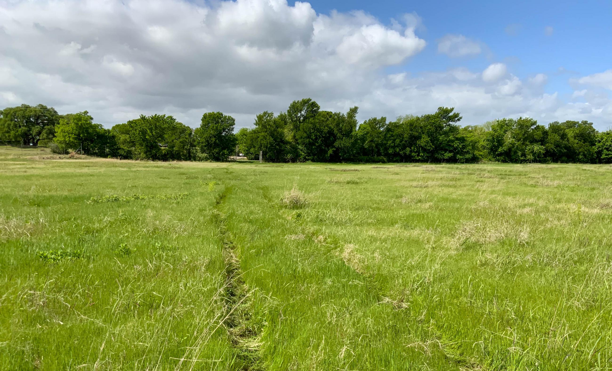 Twin Oaks Ranch property photograph 4