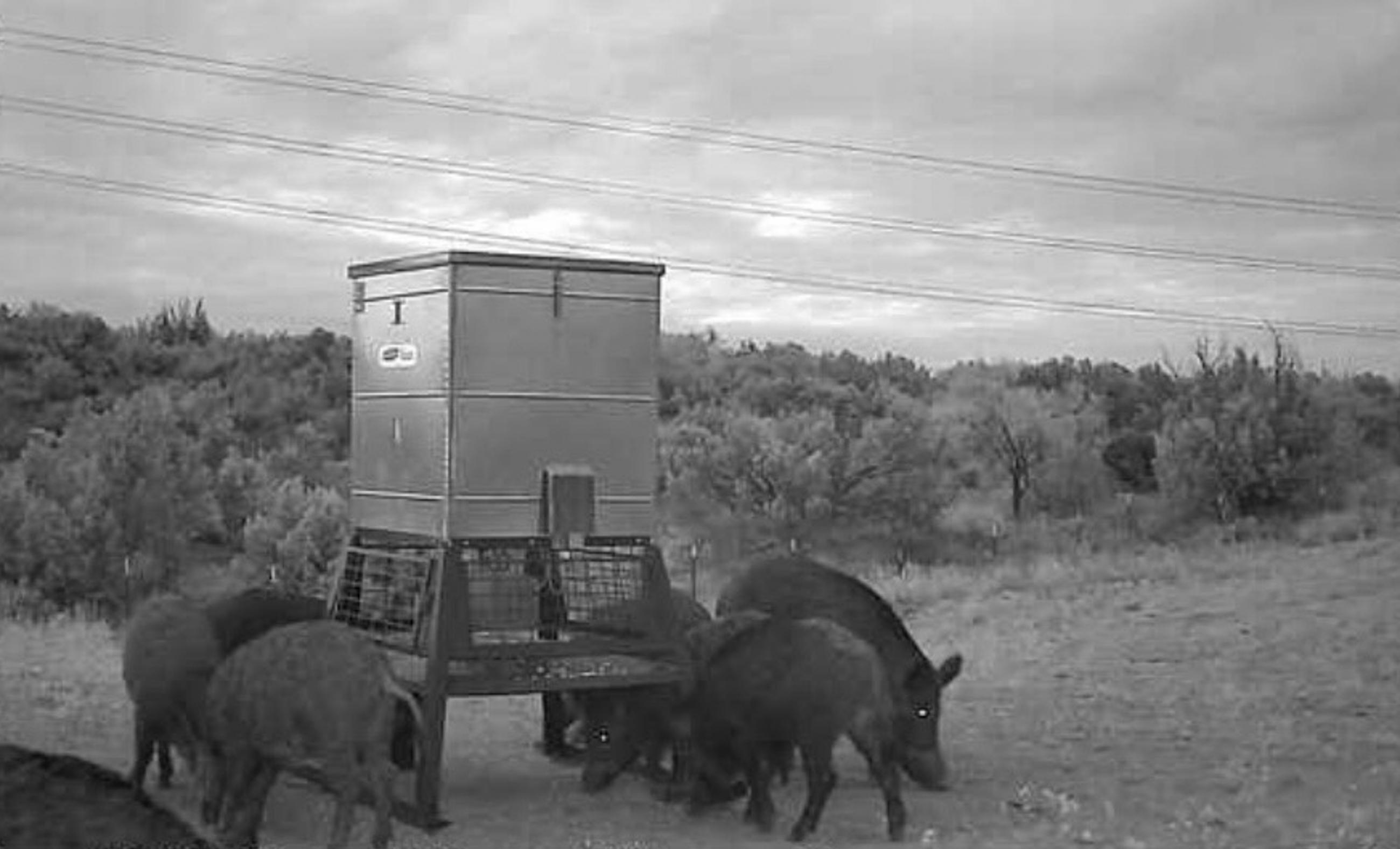 EZ DUZ IT @ Rough Creek property photograph 15
