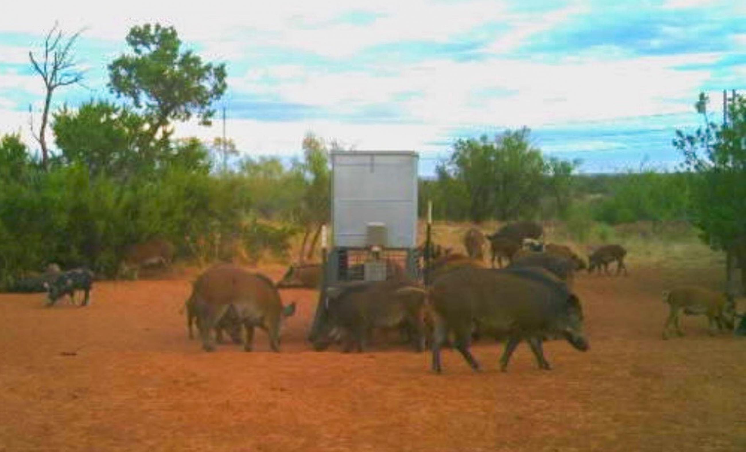 EZ DUZ IT @ Rough Creek property photograph 19