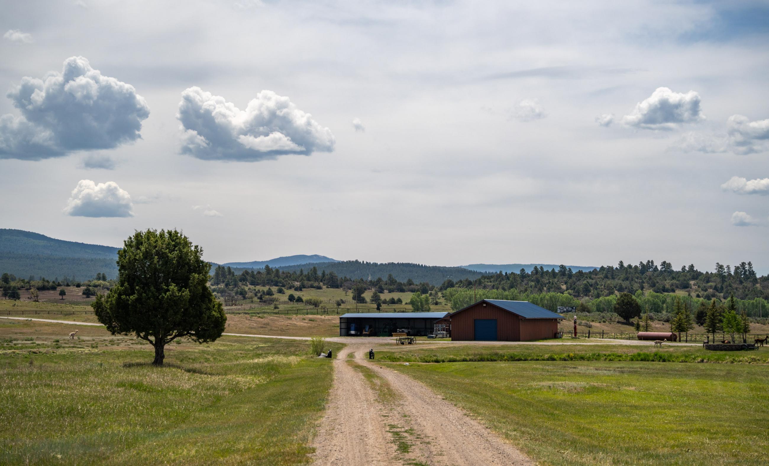 Unser Chama River Ranch  property photograph 31