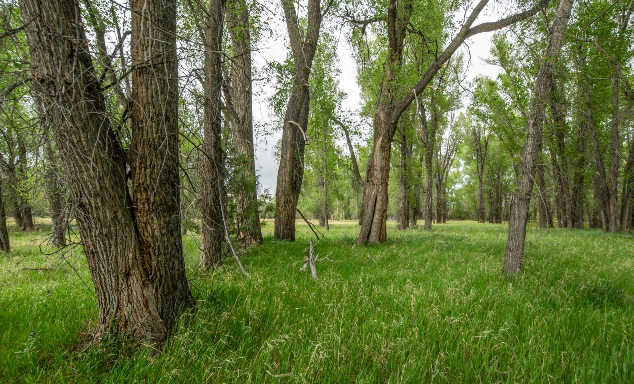 Unser Chama River Ranch  property photograph 38
