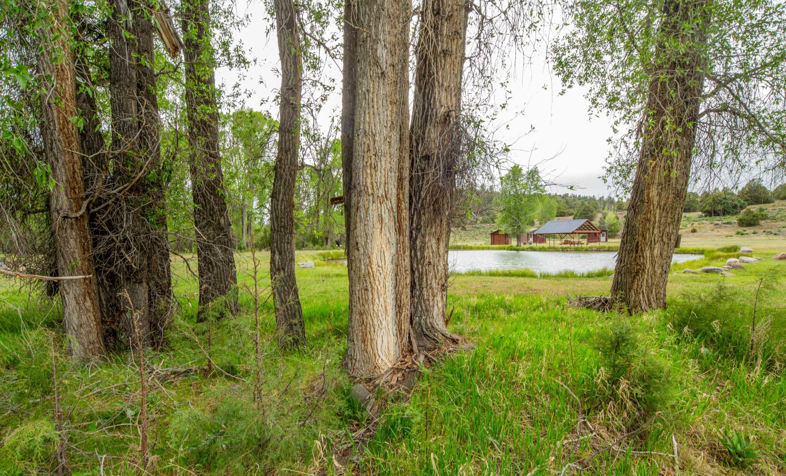 Unser Chama River Ranch  property photograph 40