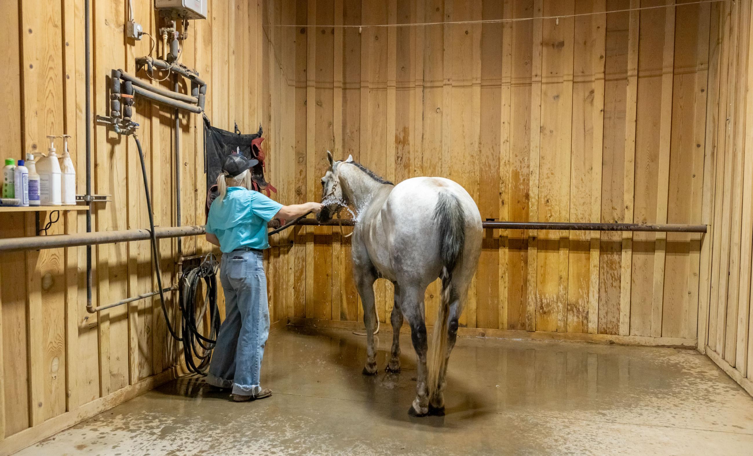 7B Ranch property photograph 15