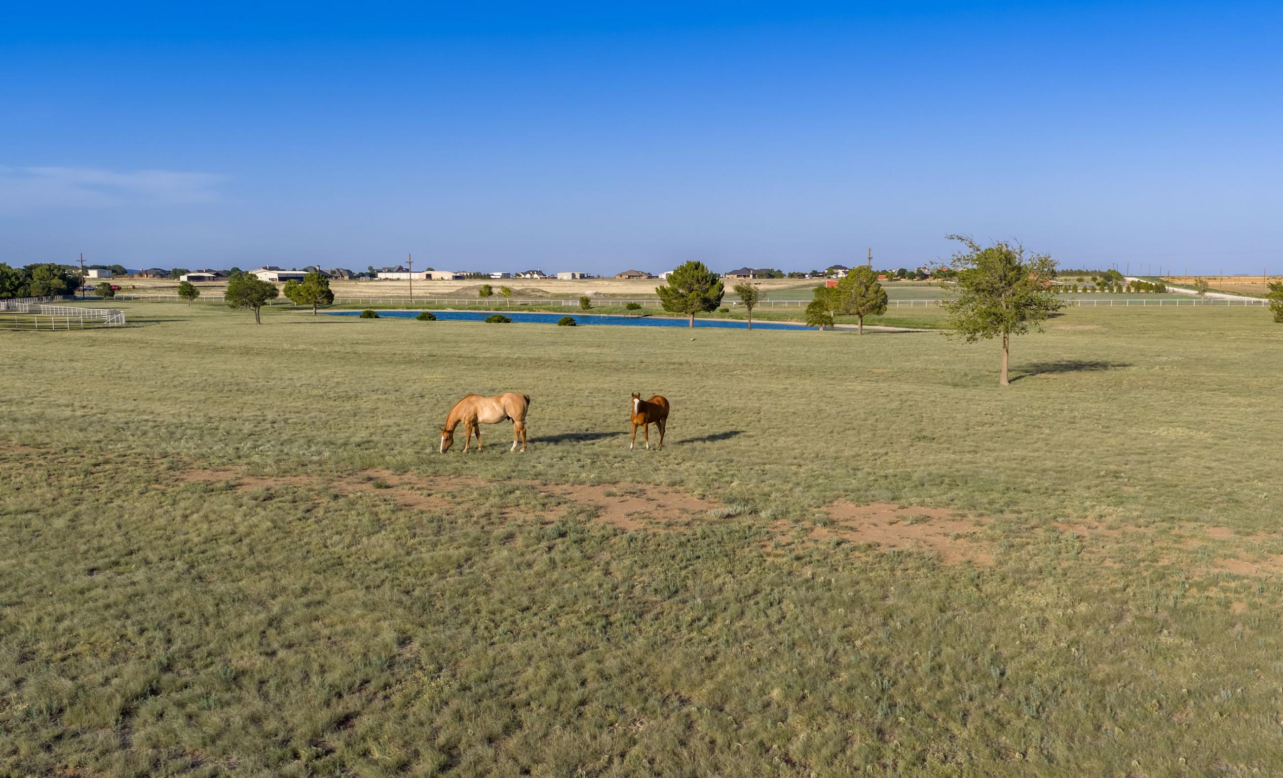 7B Ranch property photograph 76