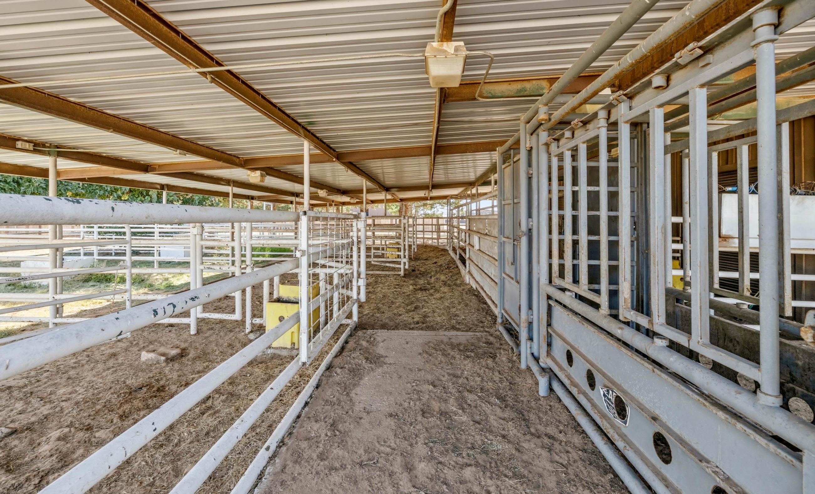7B Ranch property photograph 35