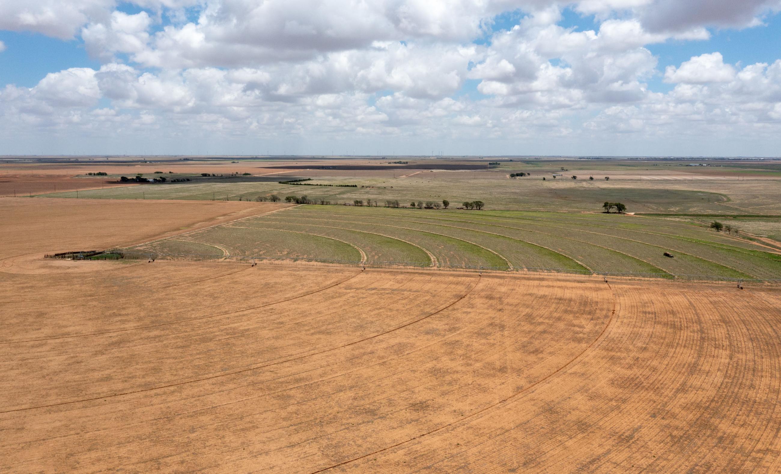 Lubbock County Cattle & Horse Ranch property photograph 5
