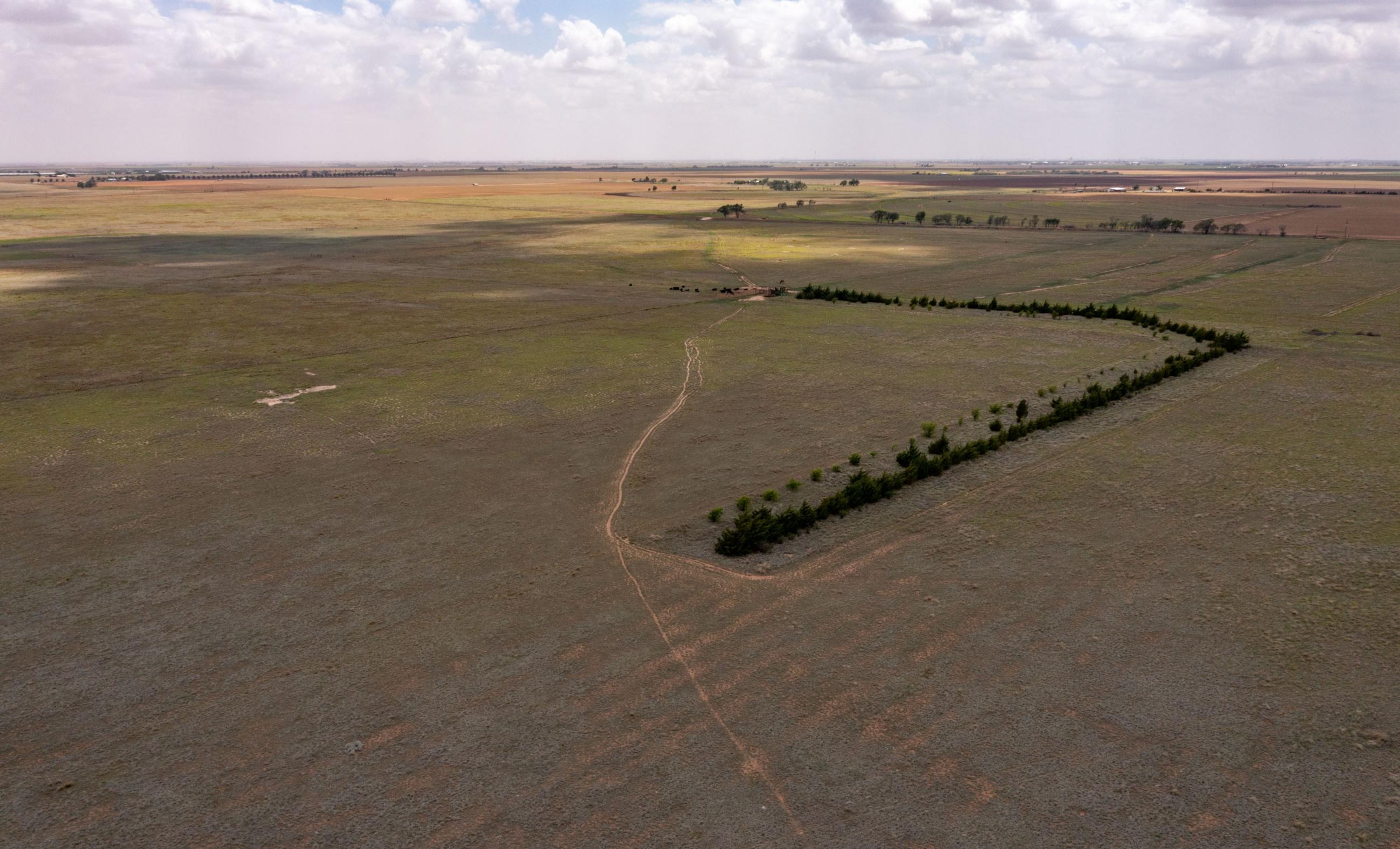 Lubbock County Cattle & Horse Ranch property photograph 3