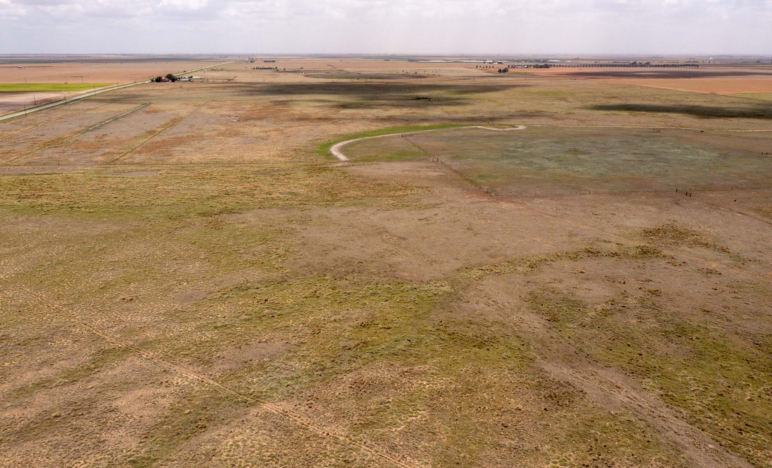 Lubbock County Cattle & Horse Ranch property photograph 34