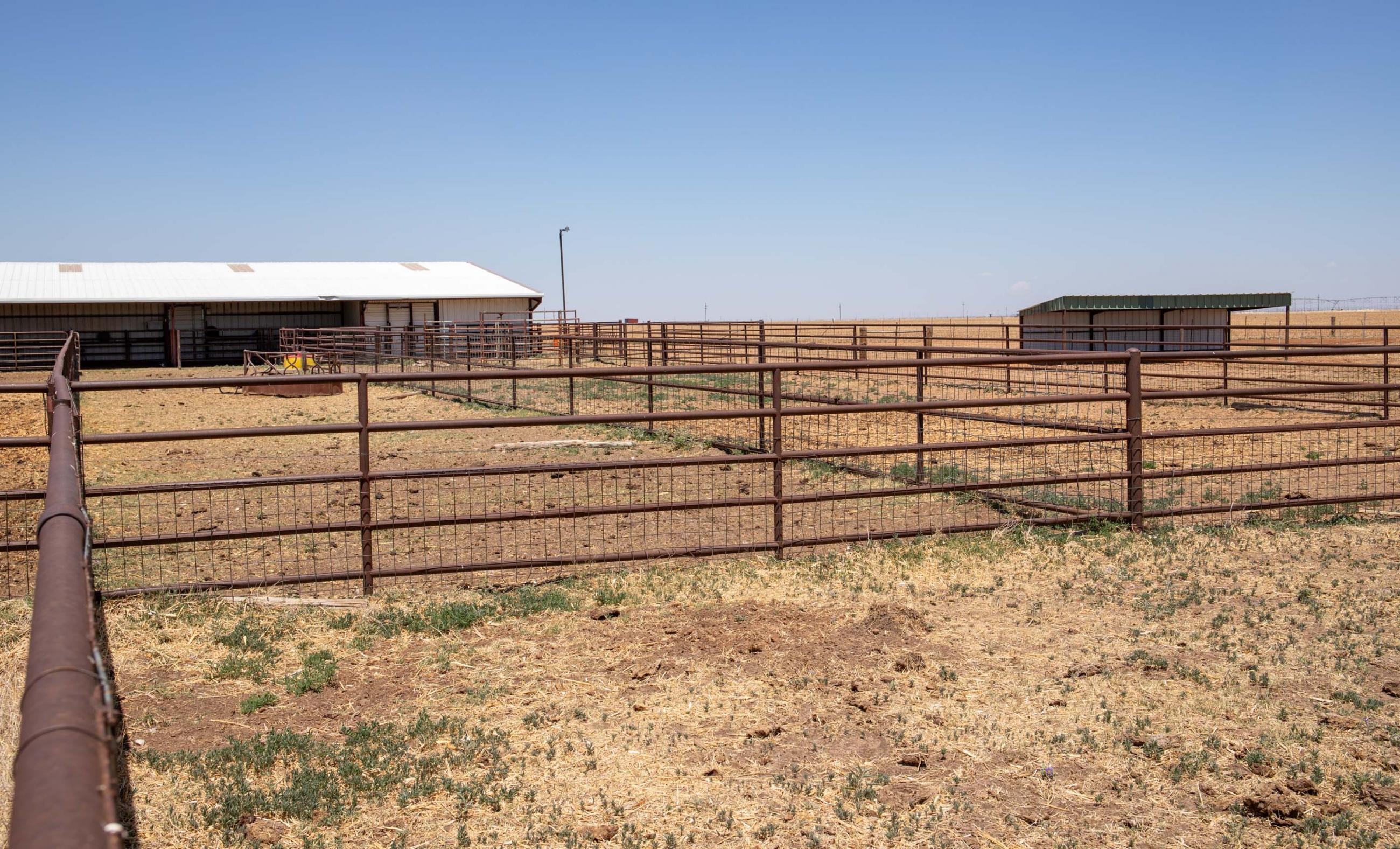 Lubbock County Cattle & Horse Ranch property photograph 37