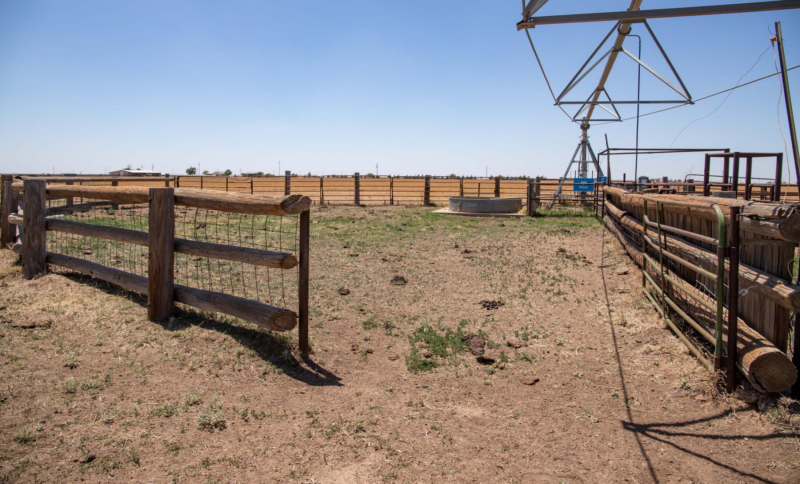 Lubbock County Cattle & Horse Ranch property photograph 38