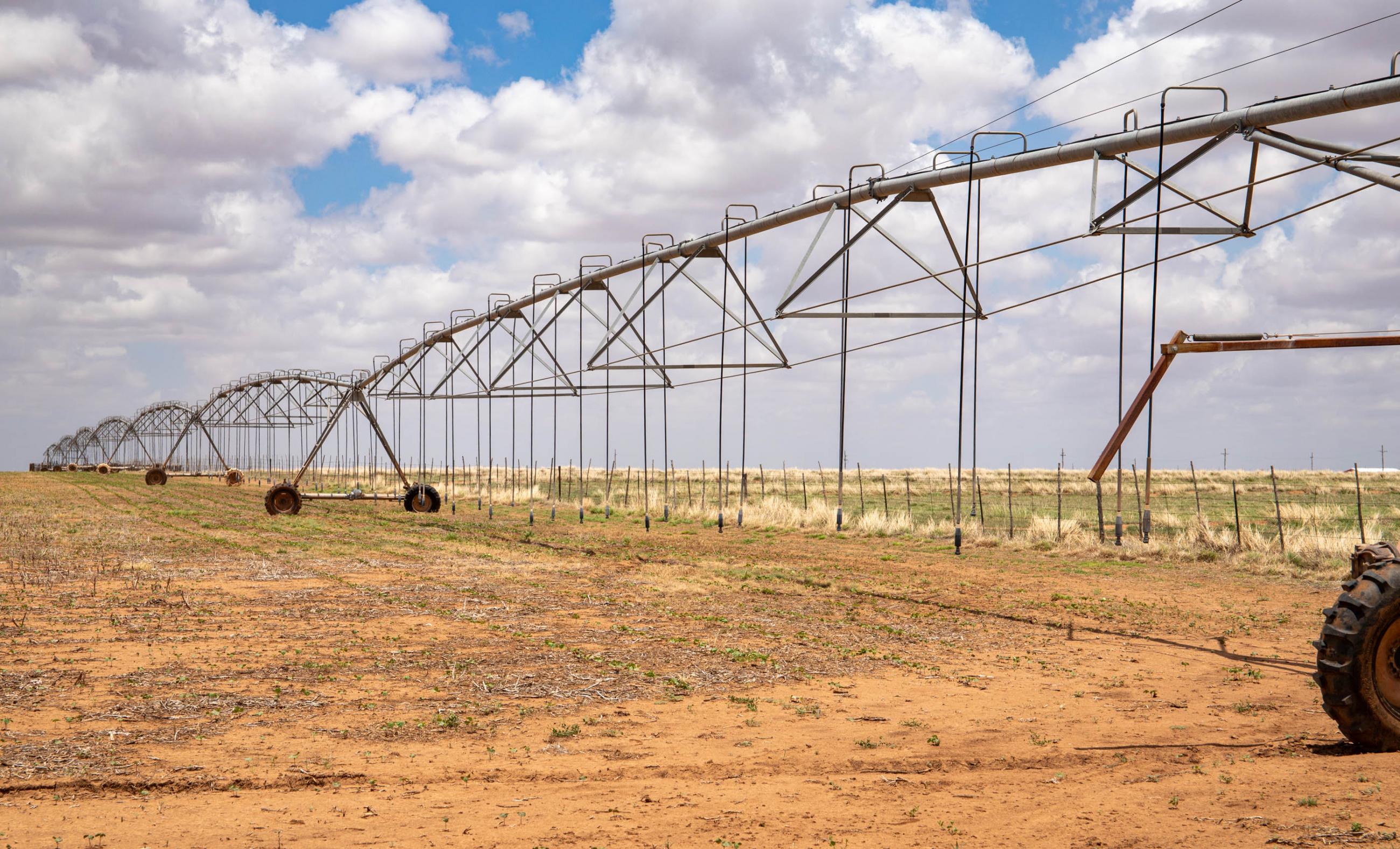 Lubbock County Cattle & Horse Ranch property photograph 11