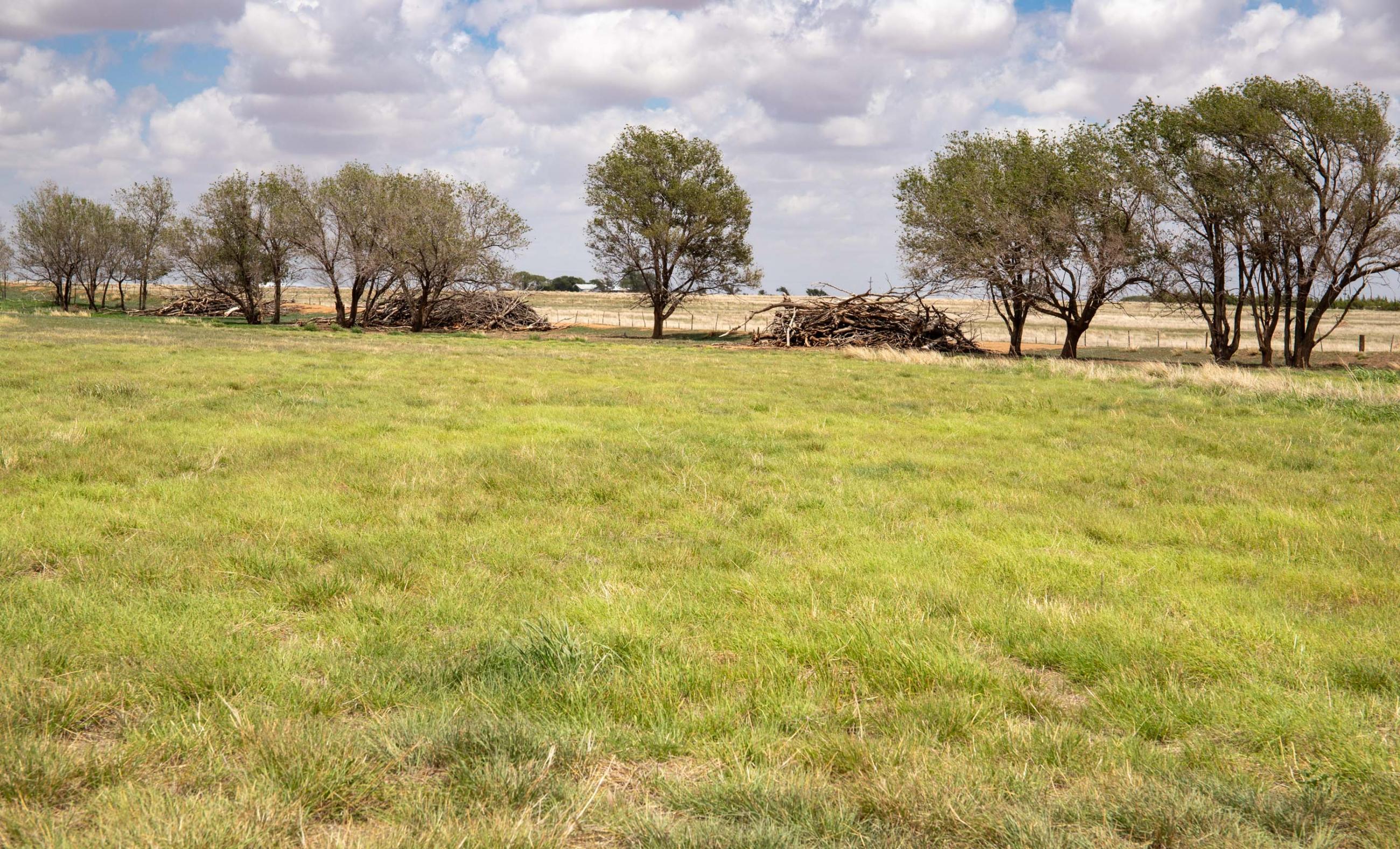 Lubbock County Cattle & Horse Ranch property photograph 8
