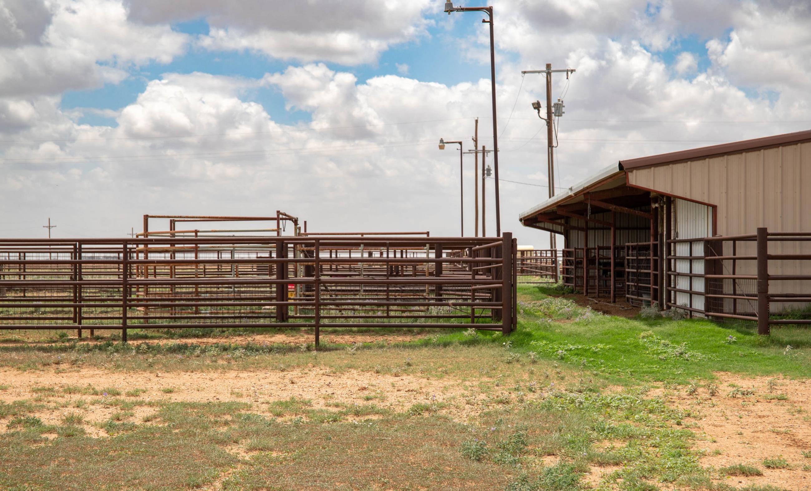 Lubbock County Cattle & Horse Ranch property photograph 15