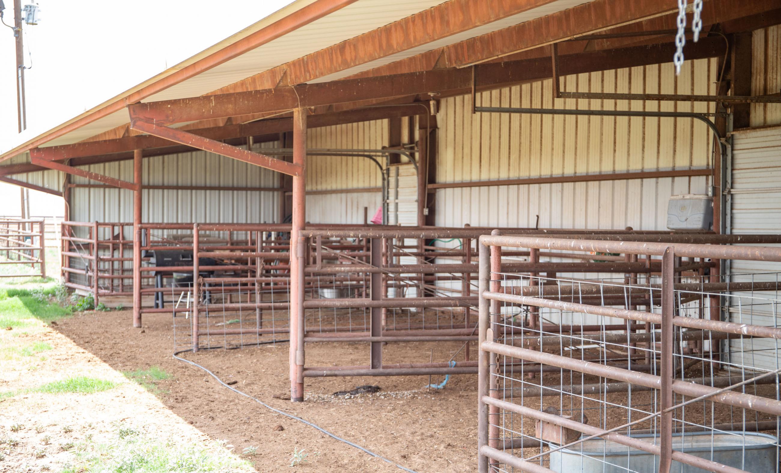 Lubbock County Cattle & Horse Ranch property photograph 16