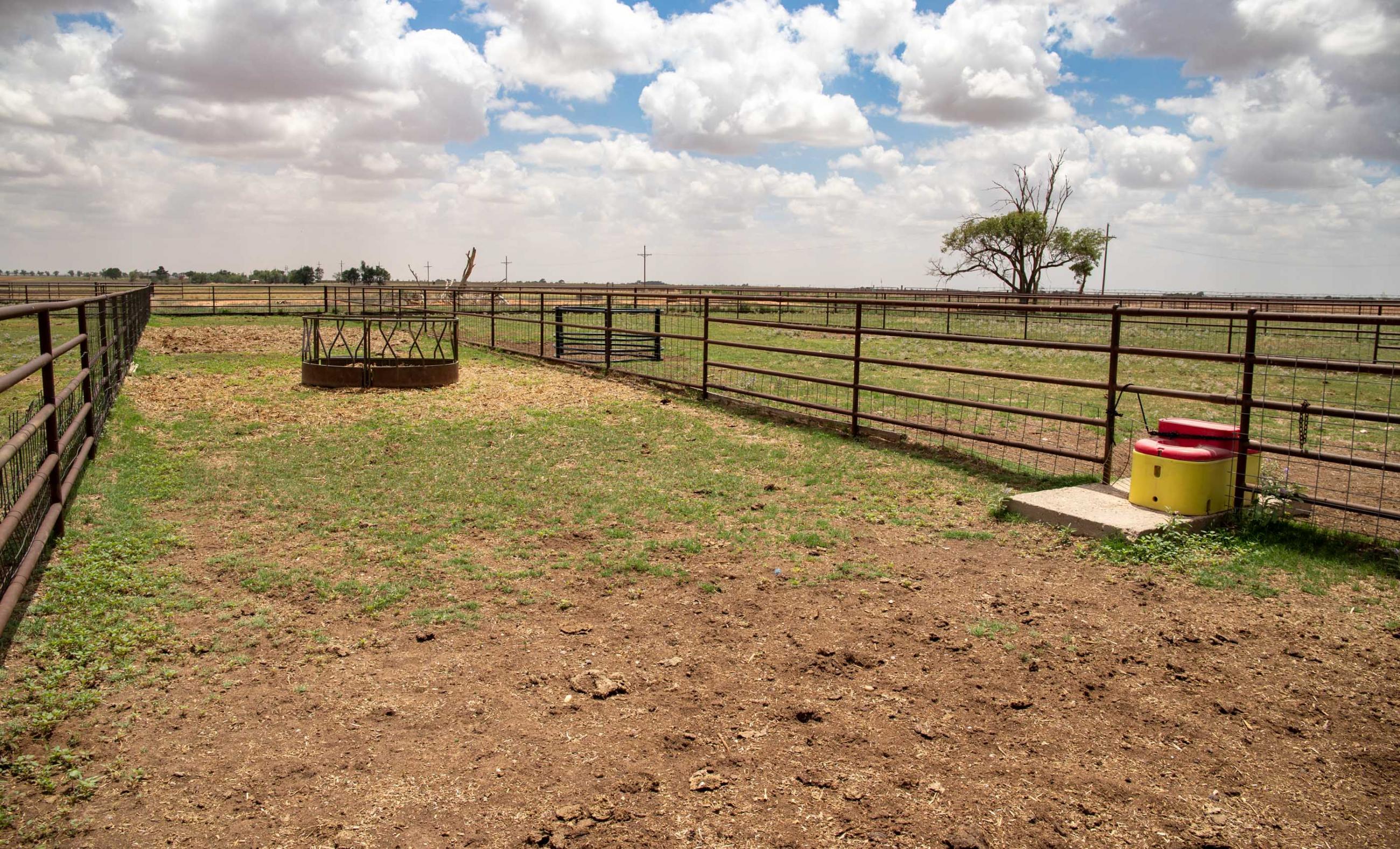 Lubbock County Cattle & Horse Ranch property photograph 17