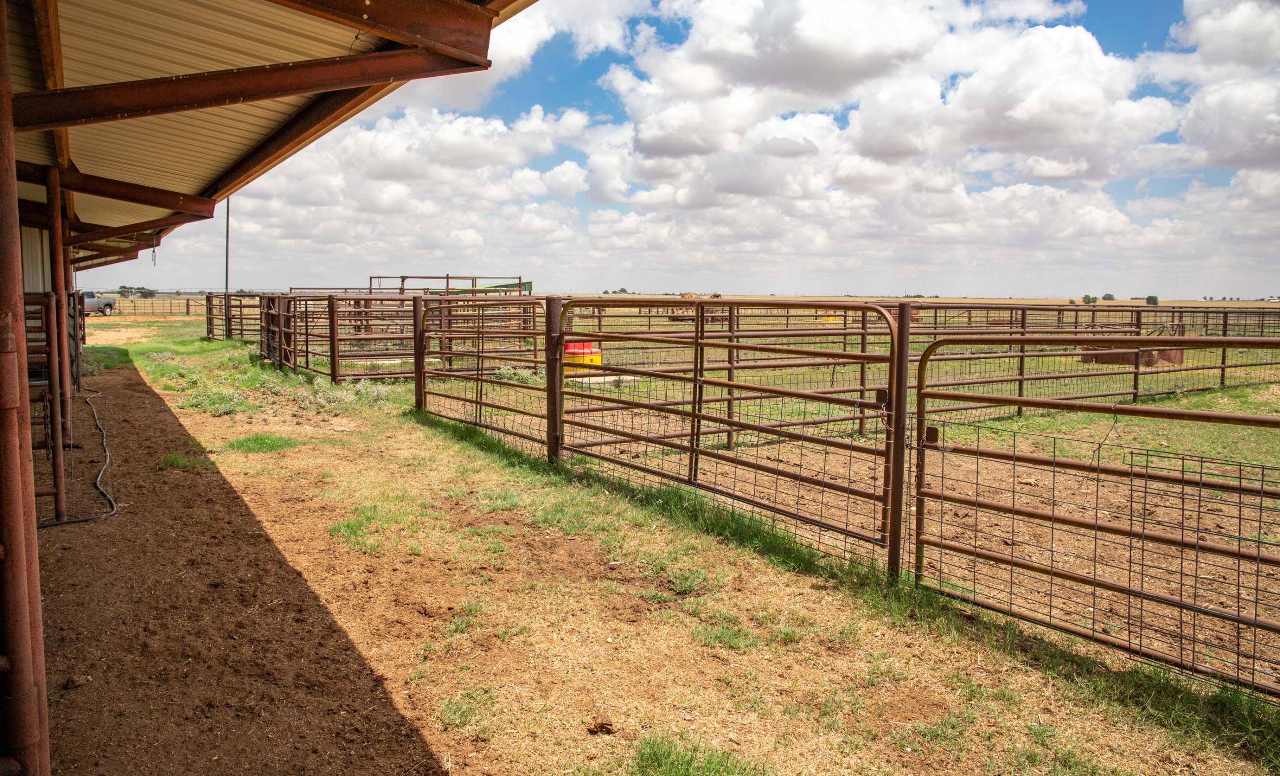 Lubbock County Cattle & Horse Ranch property photograph 18