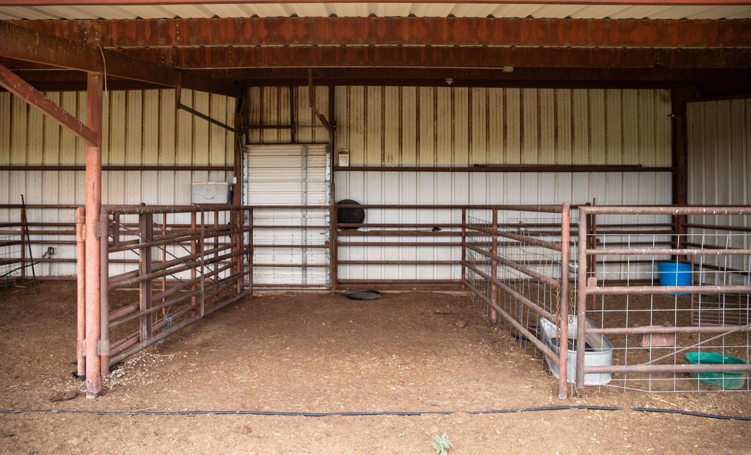 Lubbock County Cattle & Horse Ranch property photograph 19