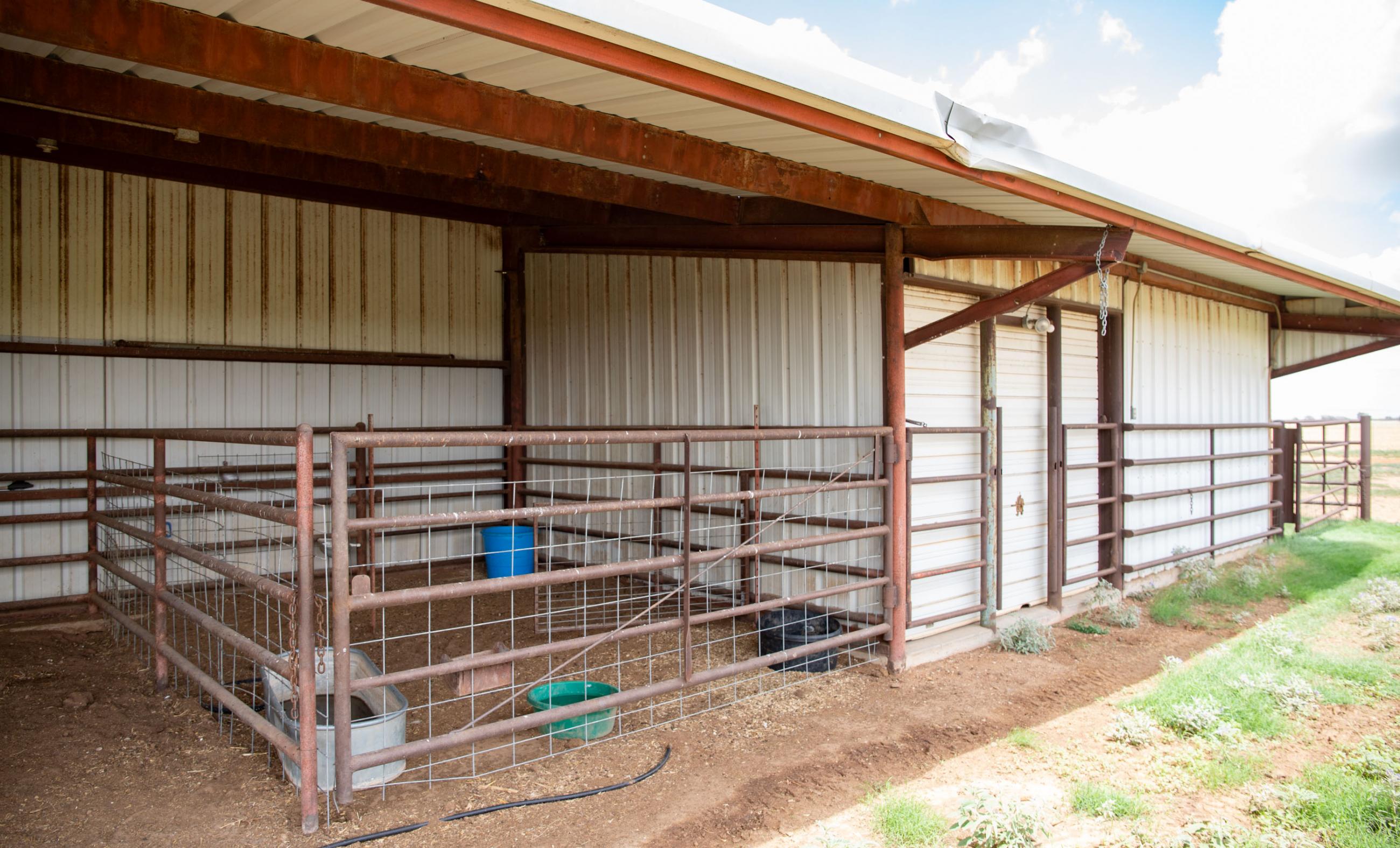 Lubbock County Cattle & Horse Ranch property photograph 20