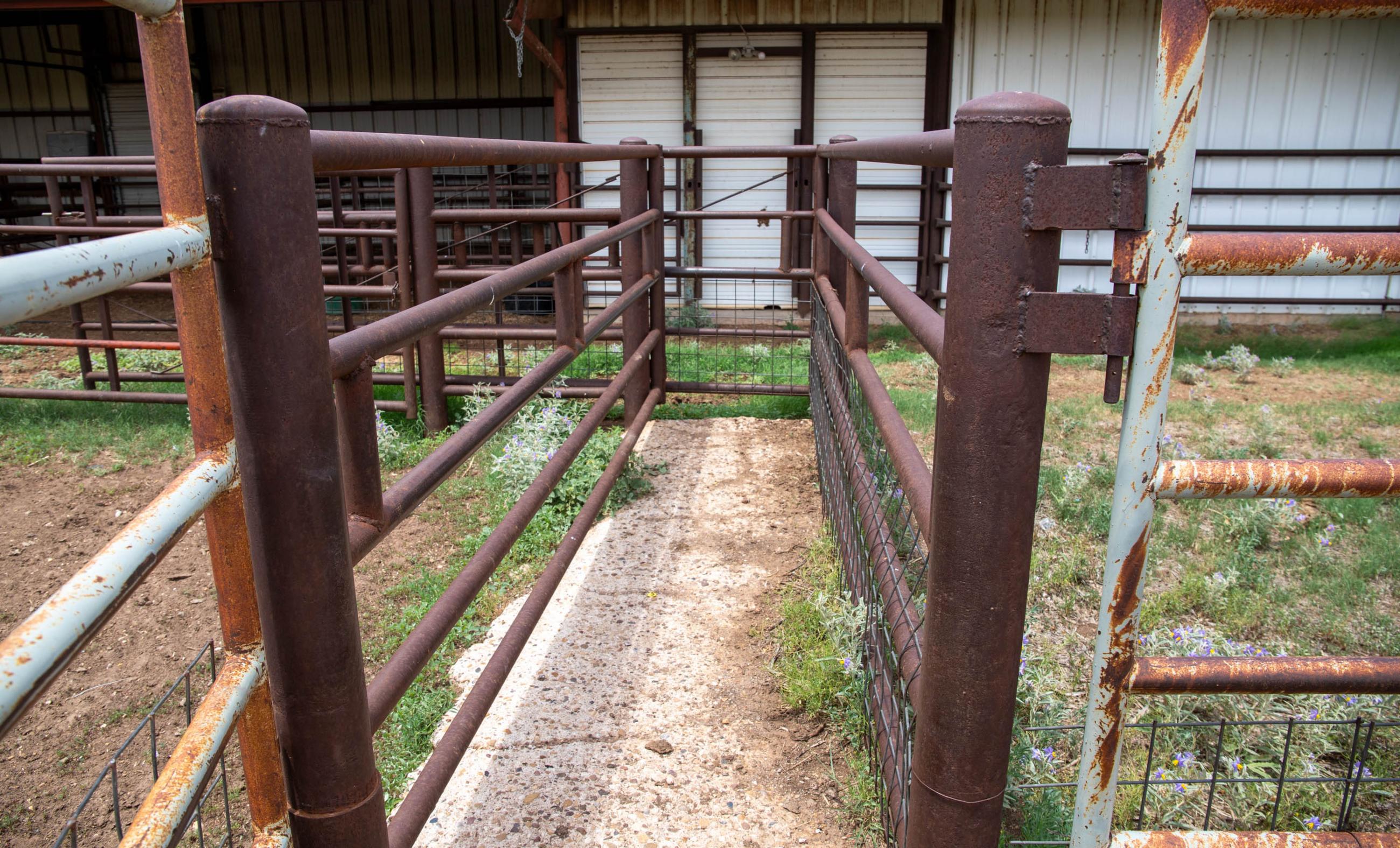 Lubbock County Cattle & Horse Ranch property photograph 21