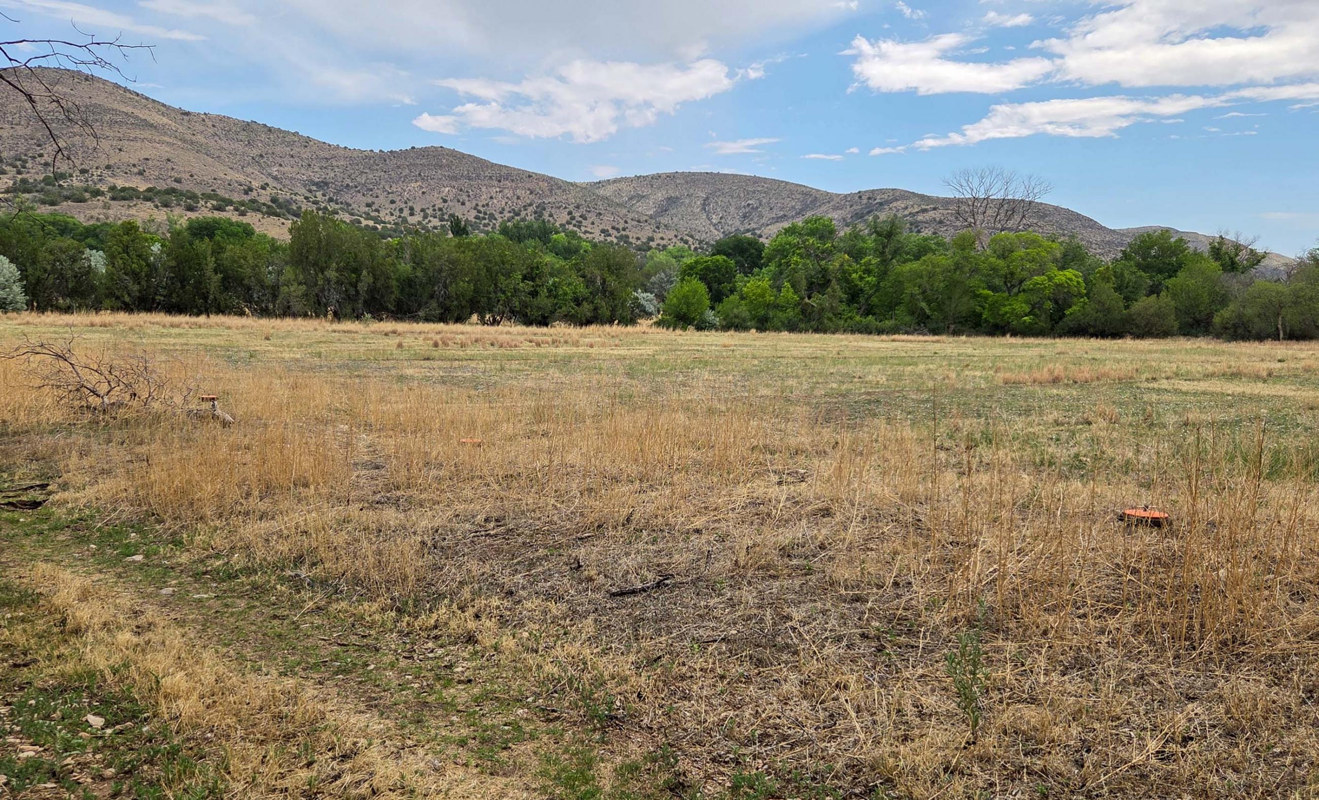 Hurd Las Milpas Ranch property photograph 9