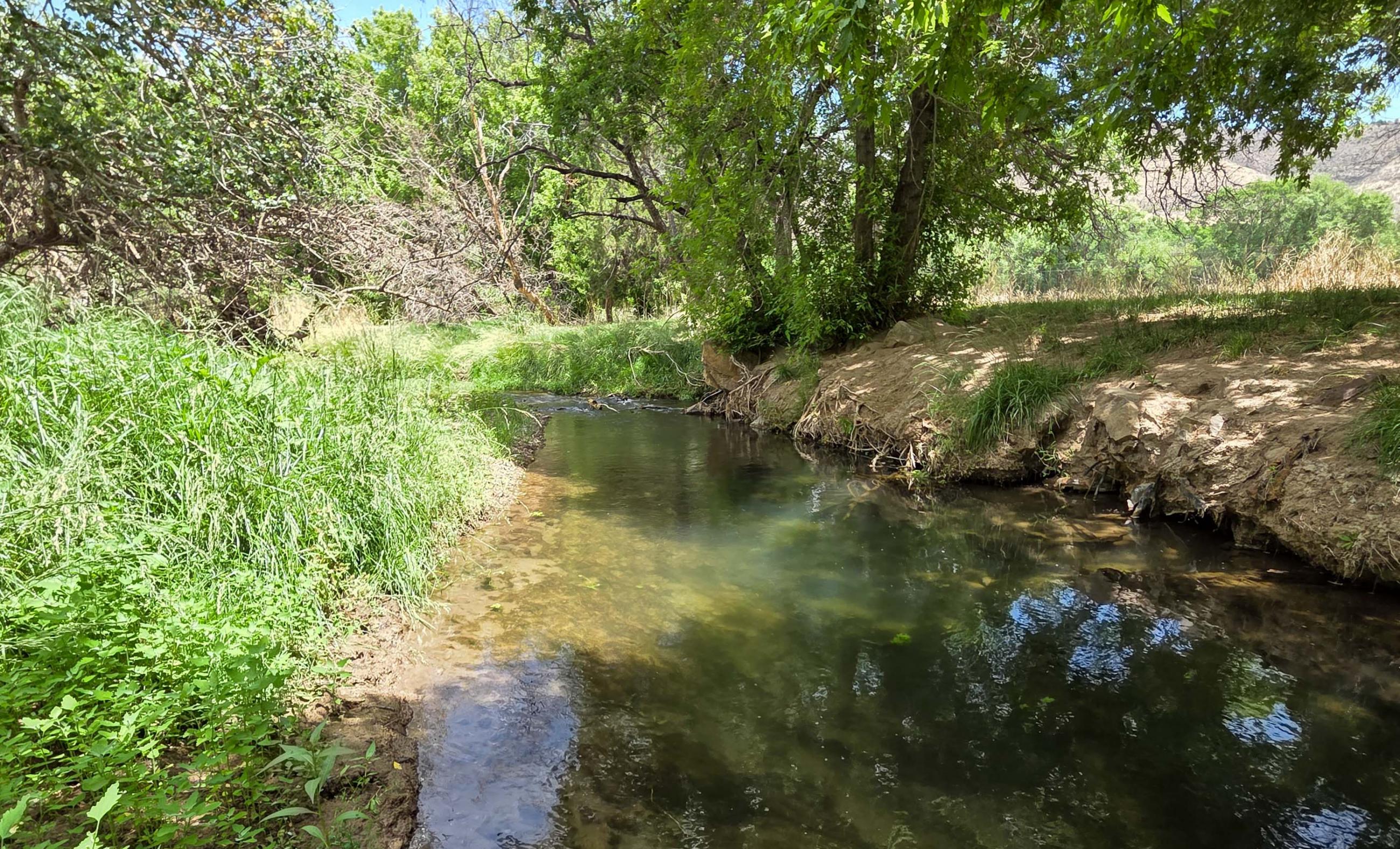 Hurd Las Milpas Ranch property photograph 2