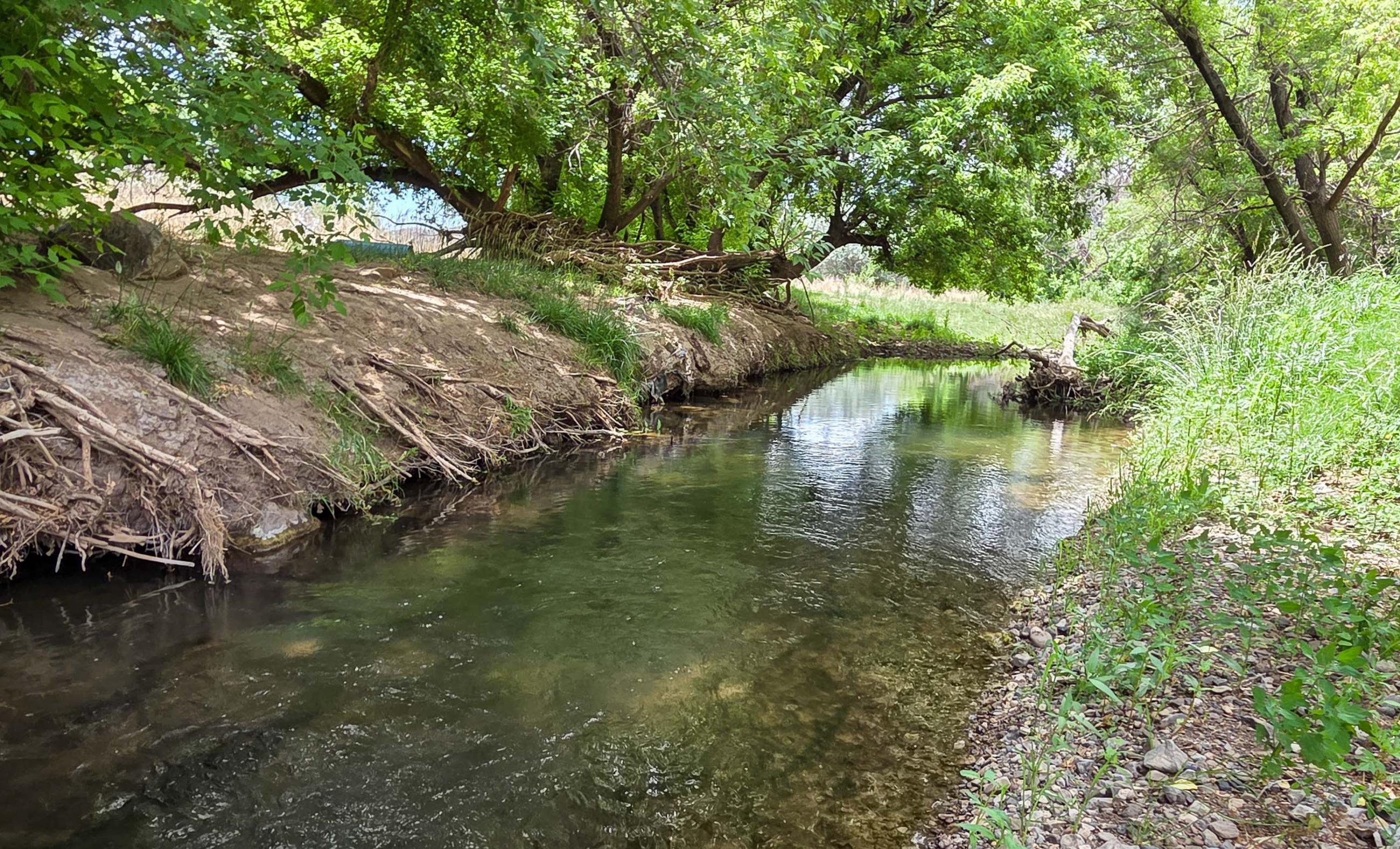 Hurd Las Milpas Ranch property photograph 8