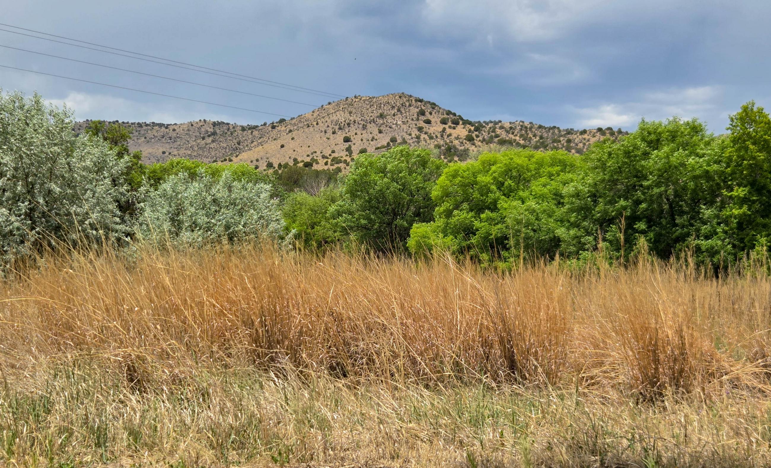 Hurd Las Milpas Ranch property photograph 10