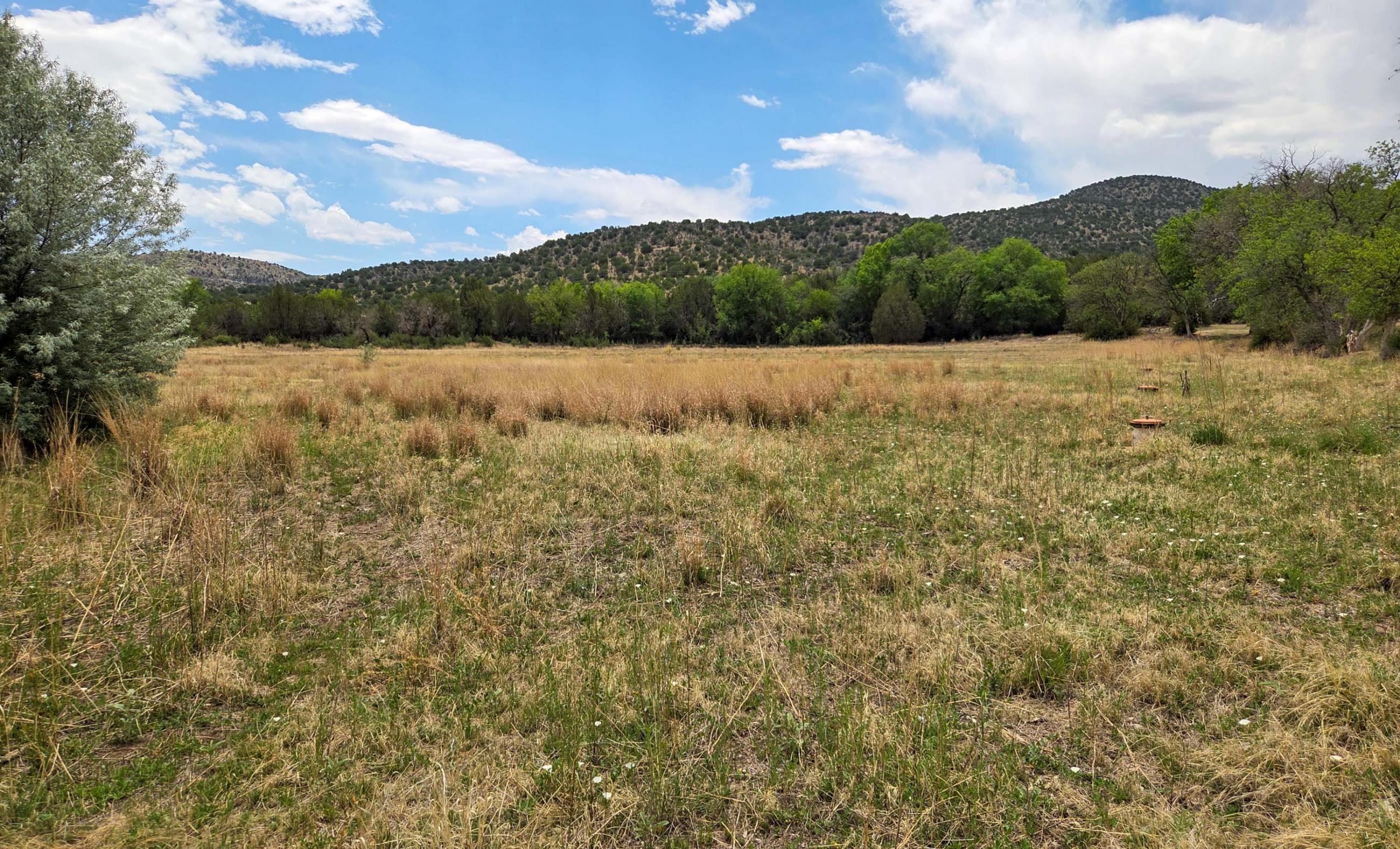 Hurd Las Milpas Ranch property photograph 7