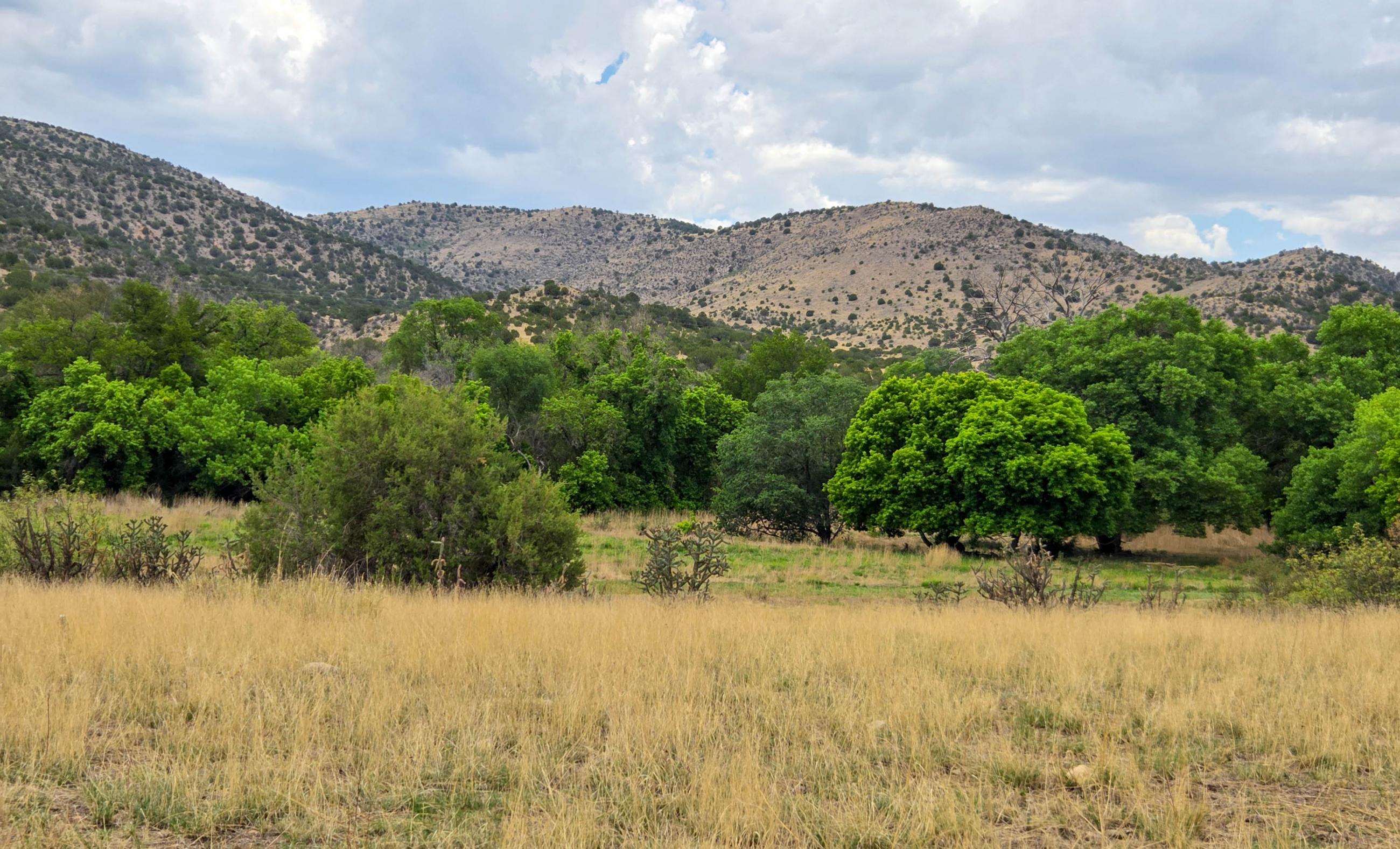 Hurd Las Milpas Ranch property photograph 12