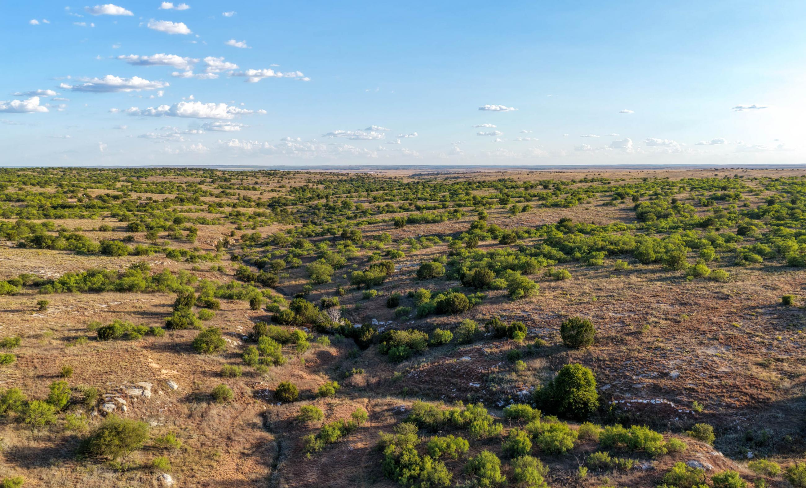 Cliff and Rachel Campbell Ranch property photograph 1
