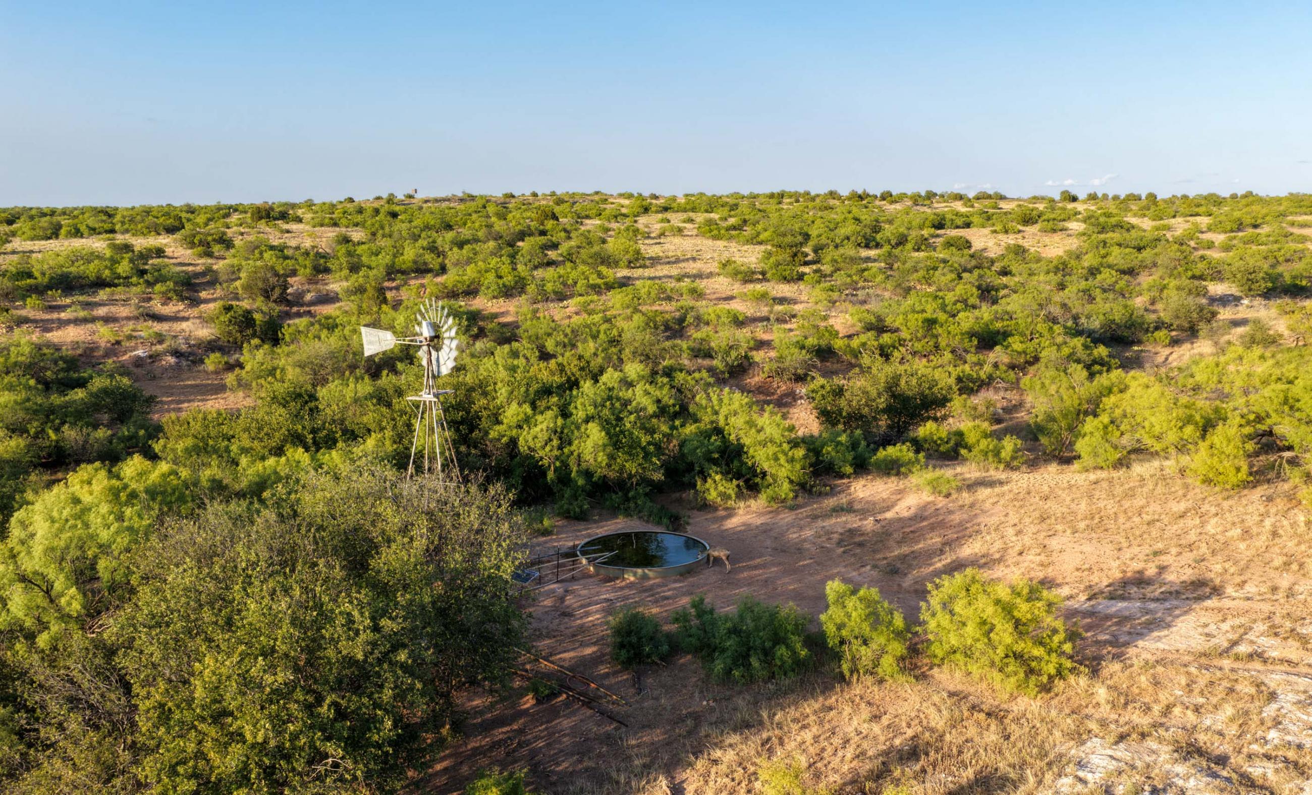 Cliff and Rachel Campbell Ranch property photograph 13