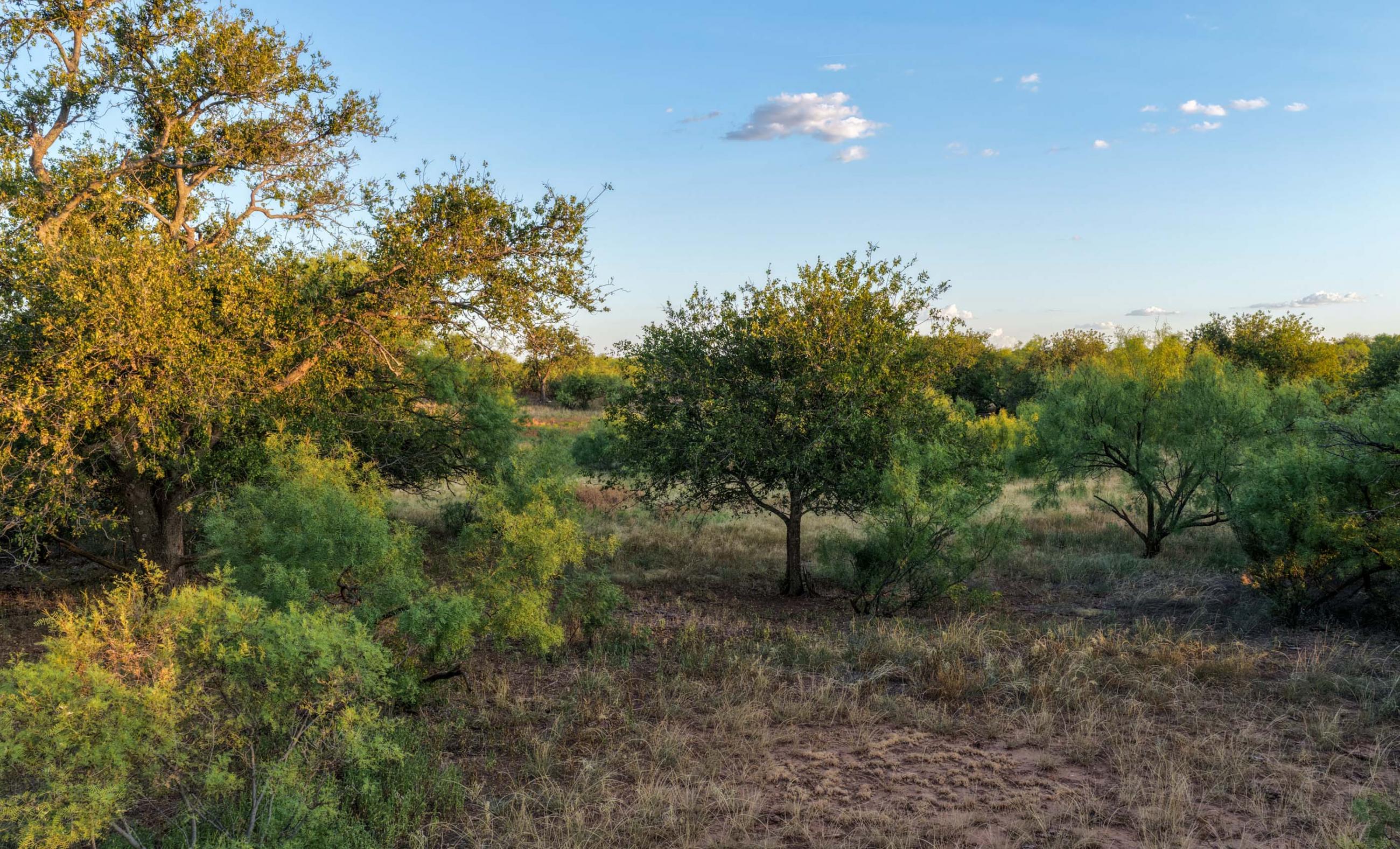 Cliff and Rachel Campbell Ranch property photograph 4