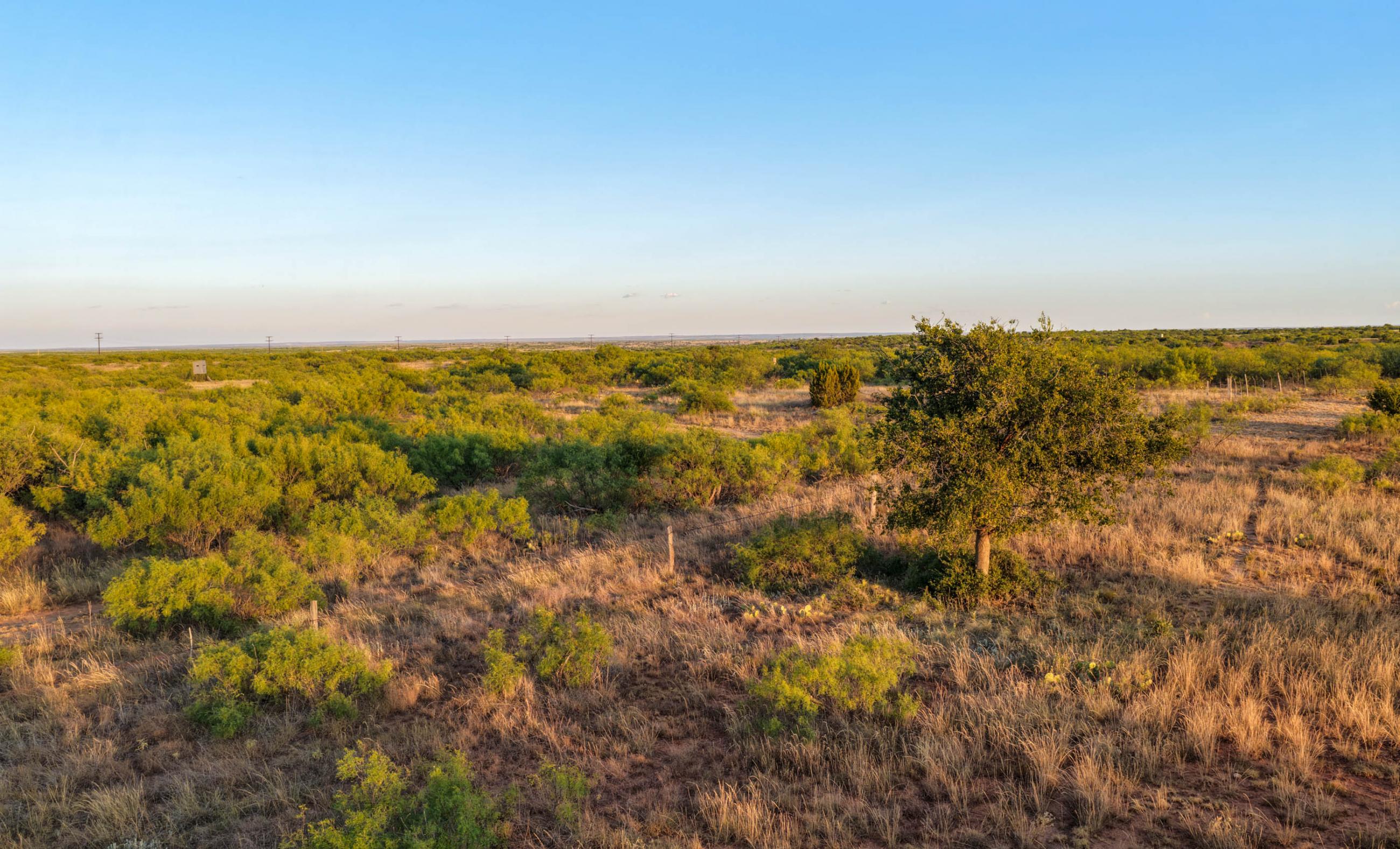 Cliff and Rachel Campbell Ranch property photograph 32