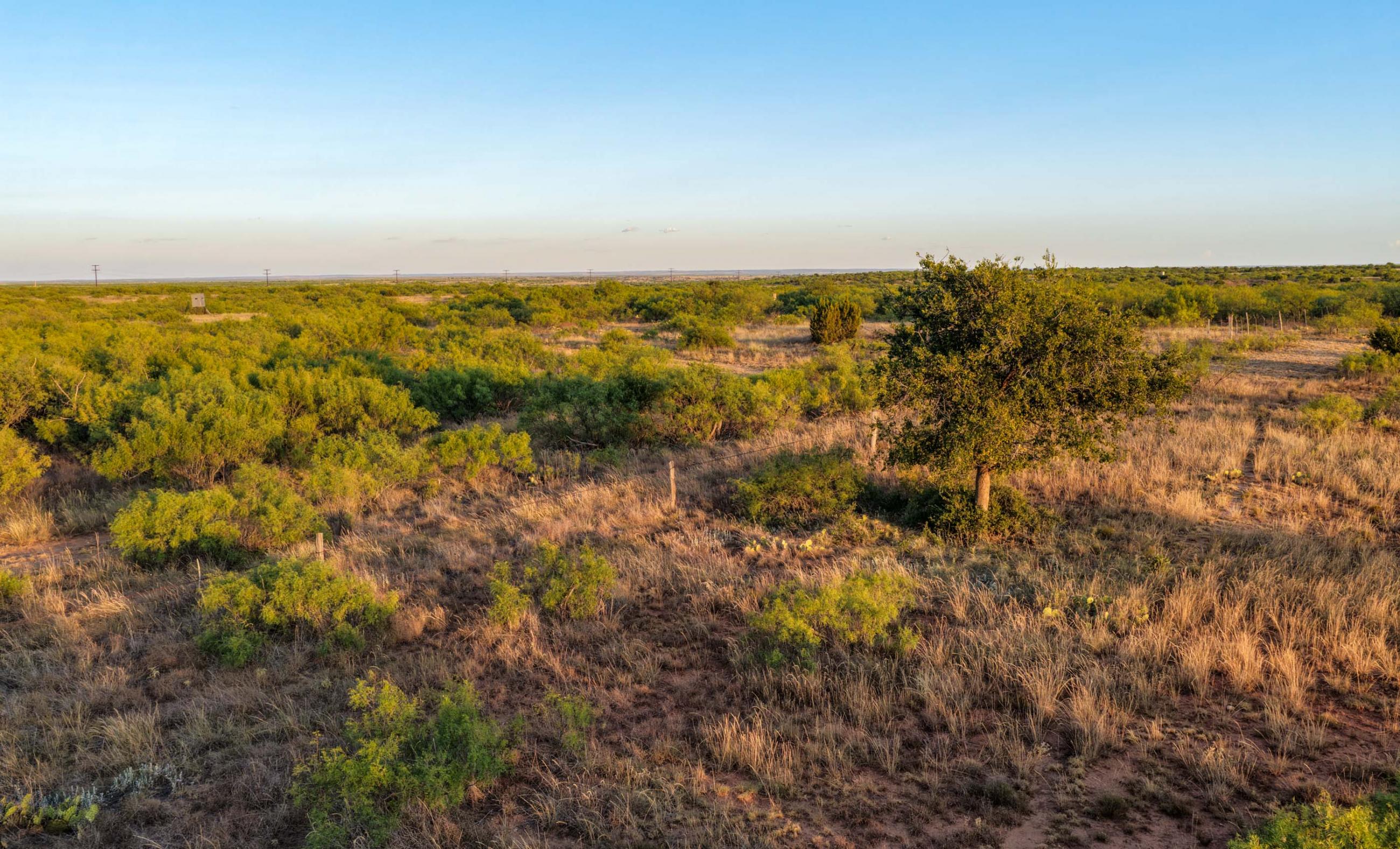 Cliff and Rachel Campbell Ranch property photograph 8