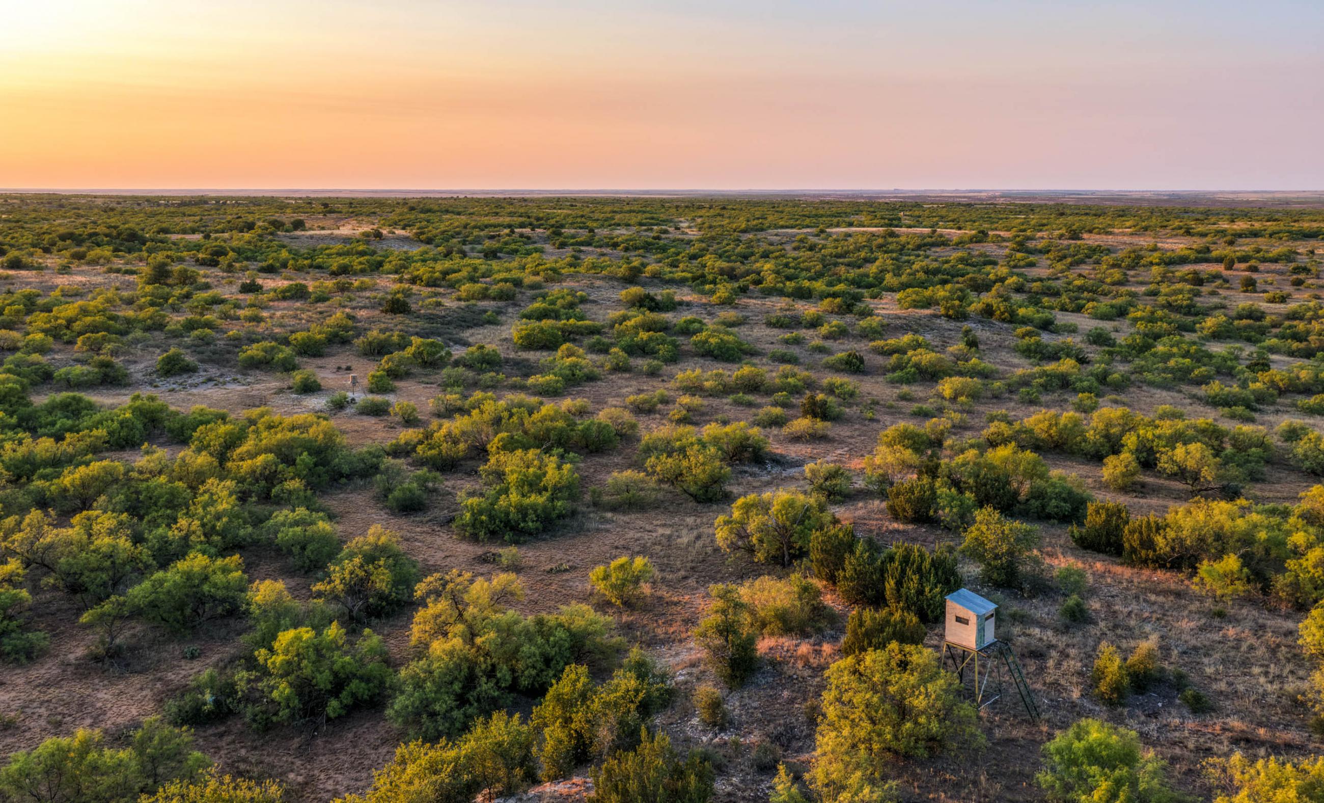 Cliff and Rachel Campbell Ranch property photograph 16