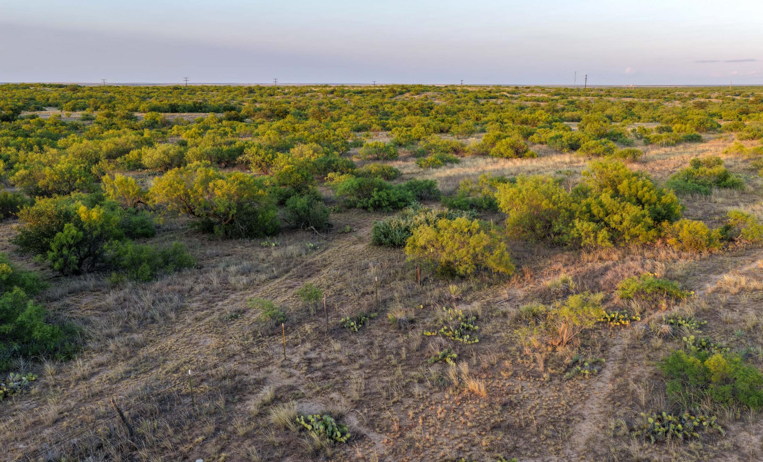 Cliff and Rachel Campbell Ranch property photograph 33