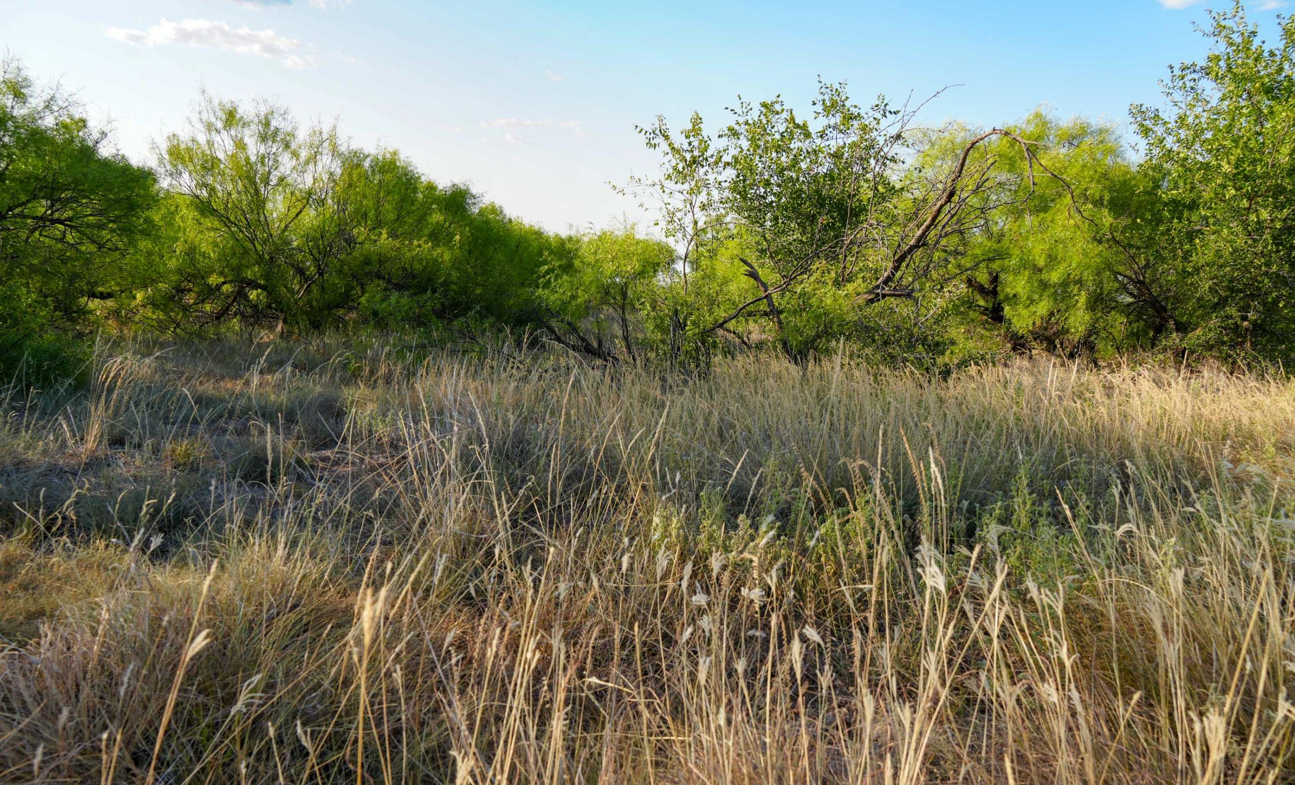 Cliff and Rachel Campbell Ranch property photograph 22