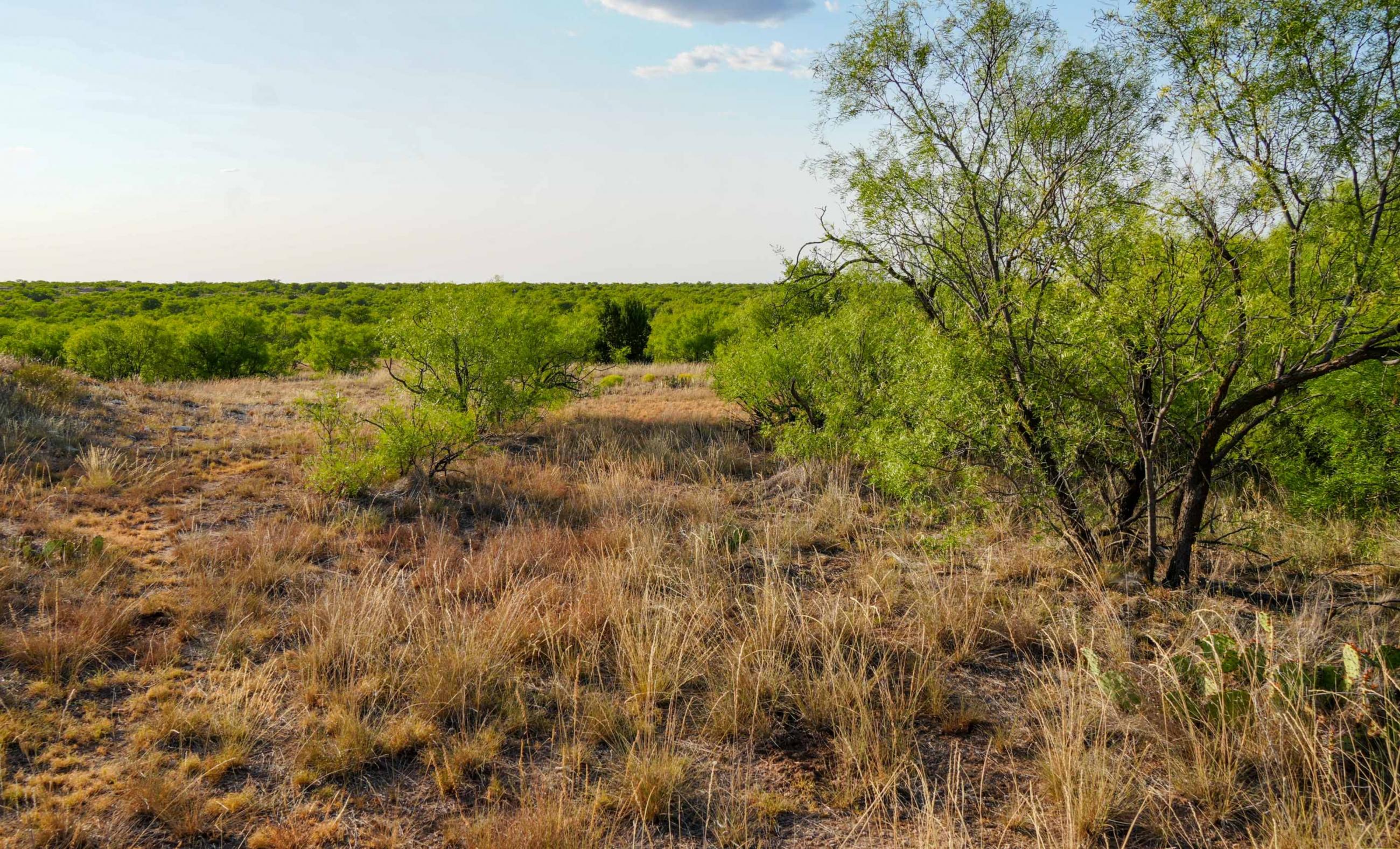 Cliff and Rachel Campbell Ranch property photograph 23