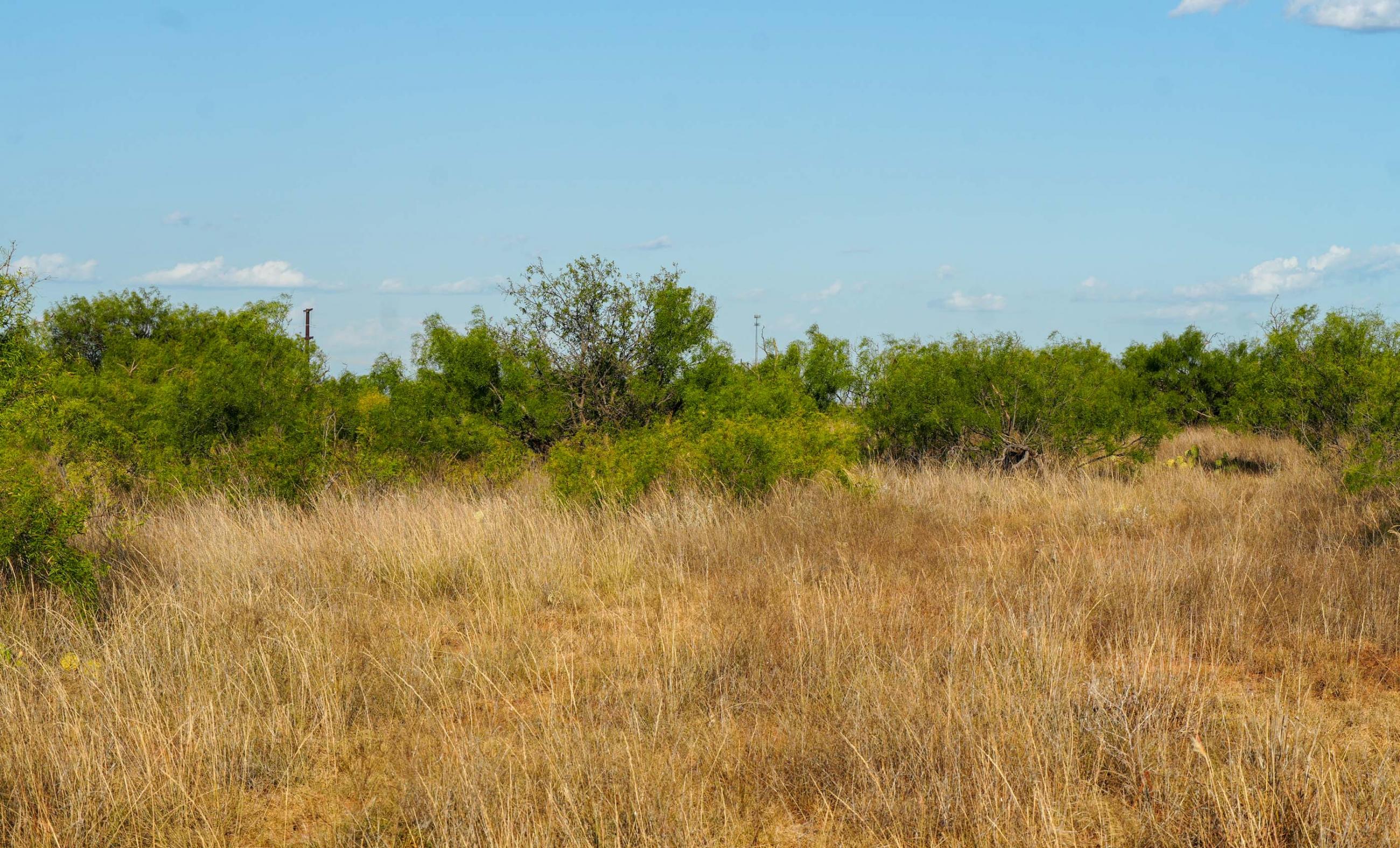 Cliff and Rachel Campbell Ranch property photograph 14