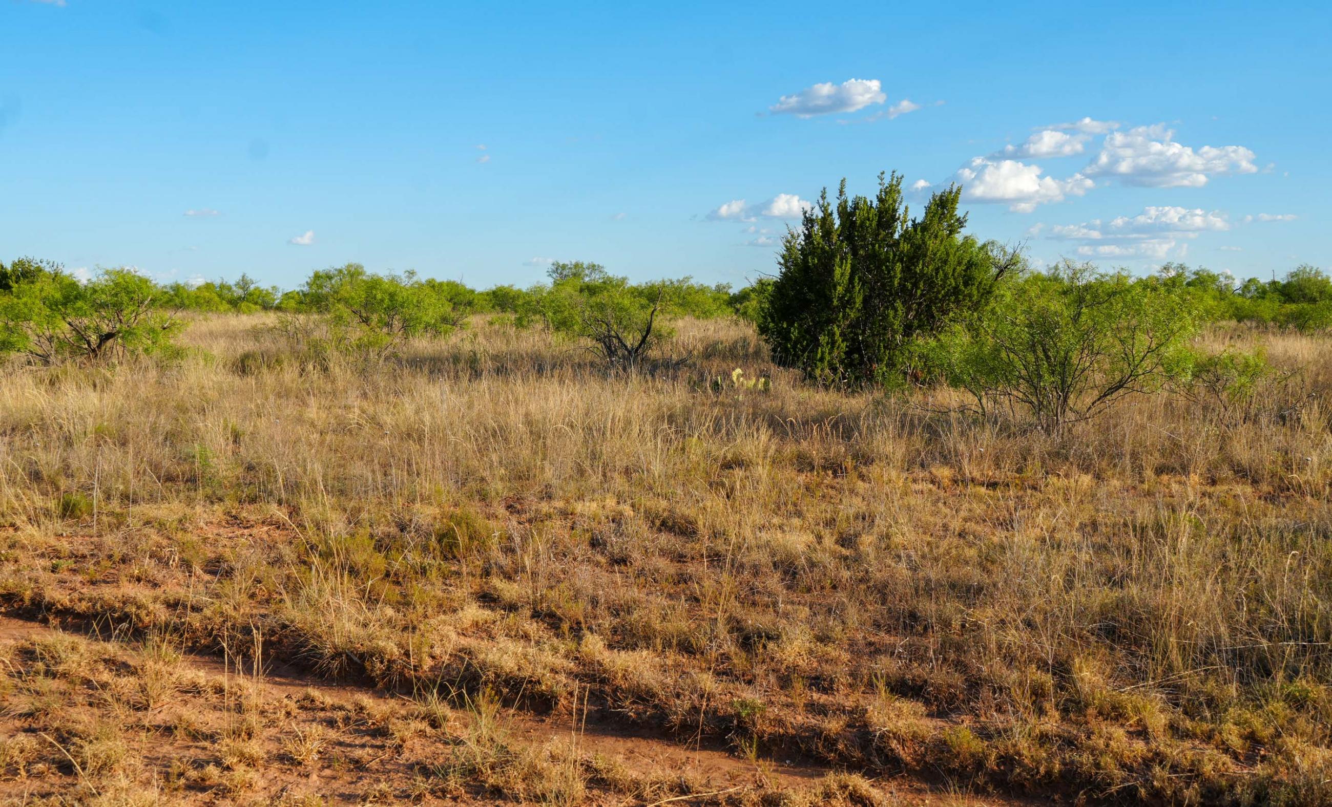 Cliff and Rachel Campbell Ranch property photograph 25