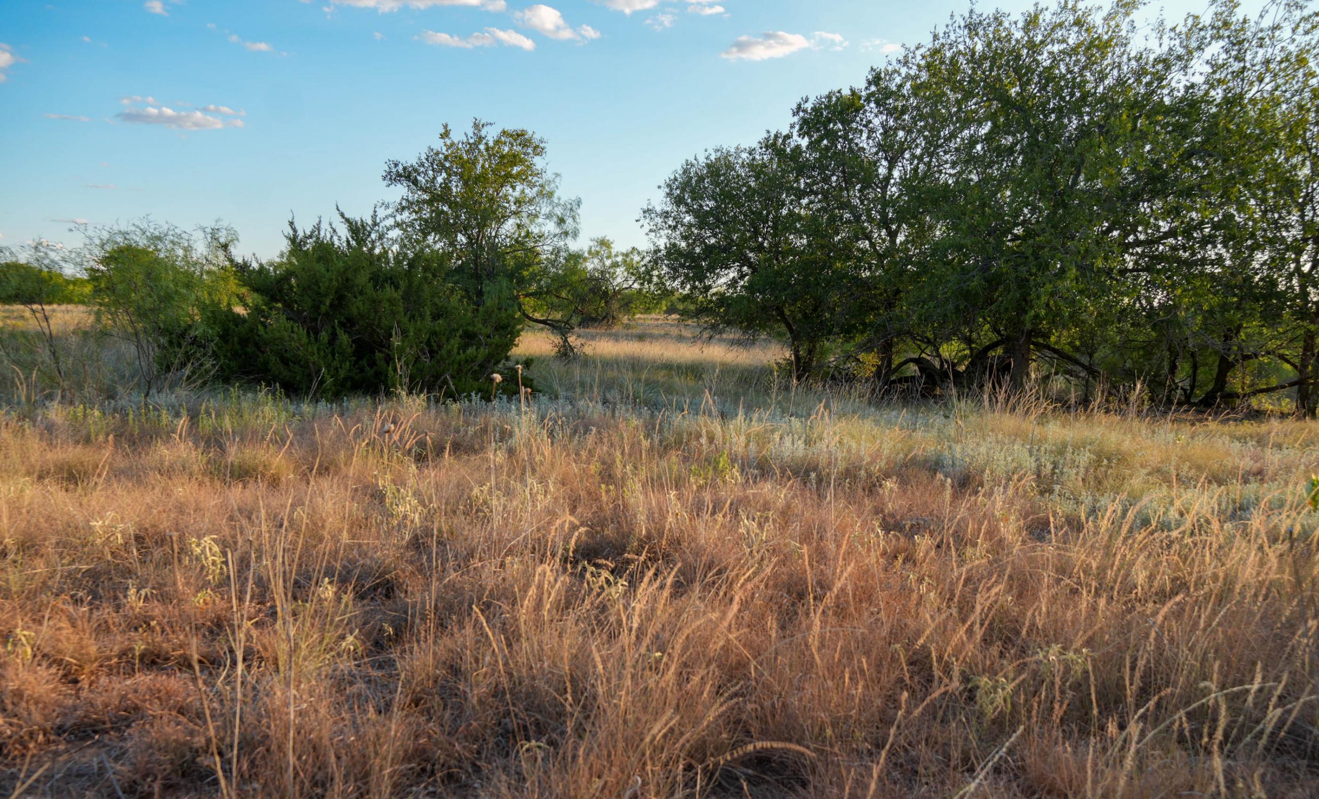 Cliff and Rachel Campbell Ranch property photograph 24