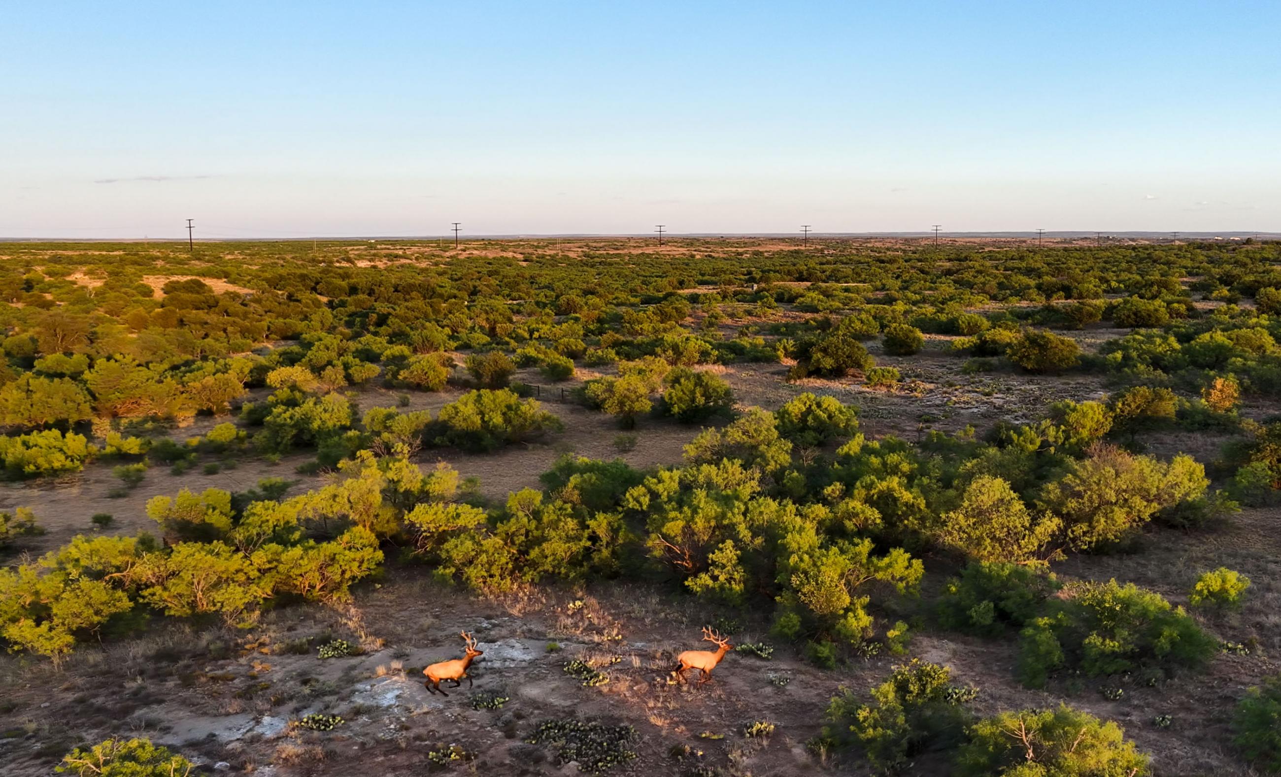 Cliff and Rachel Campbell Ranch property photograph 15