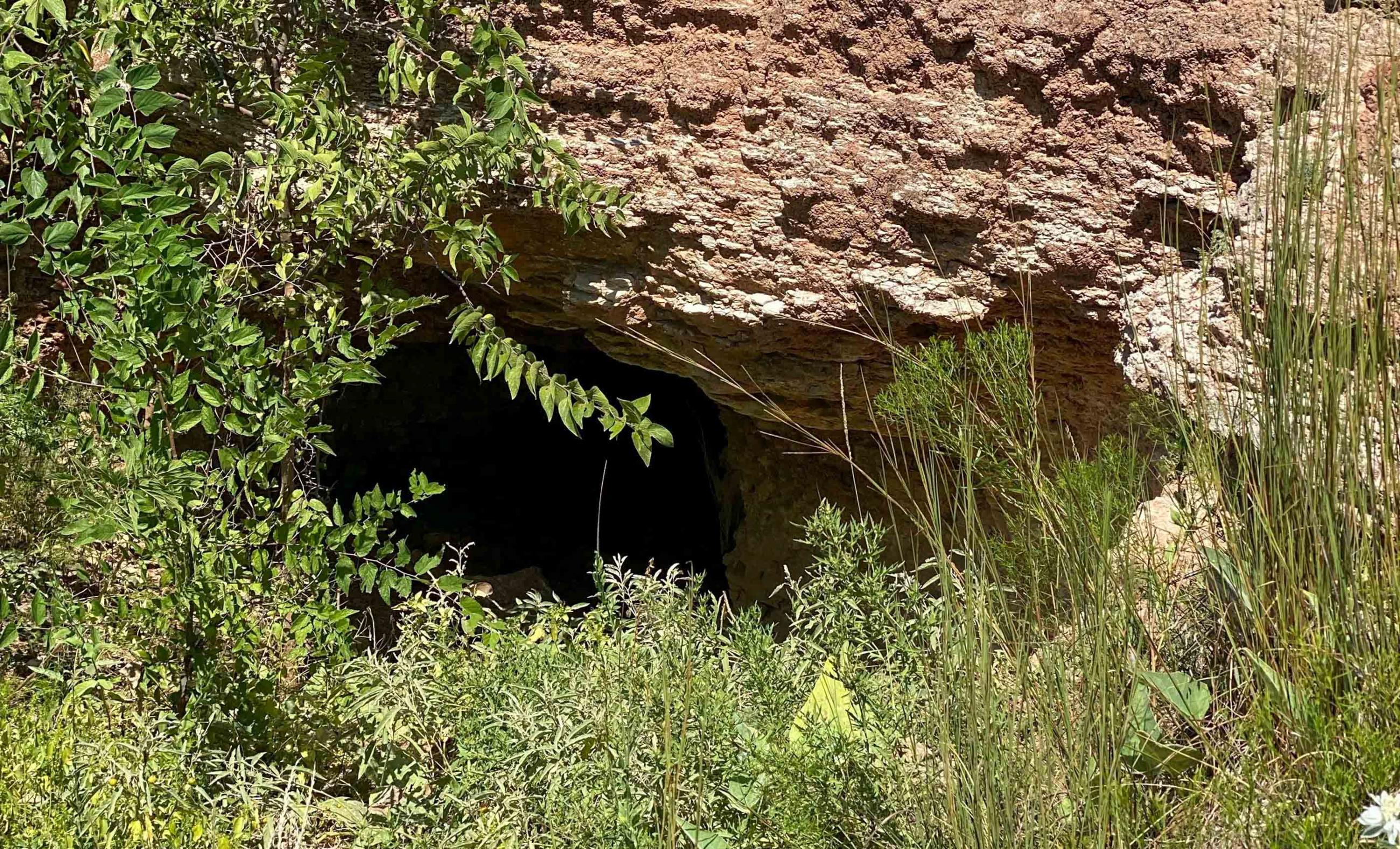Cliff and Rachel Campbell Ranch property photograph 30