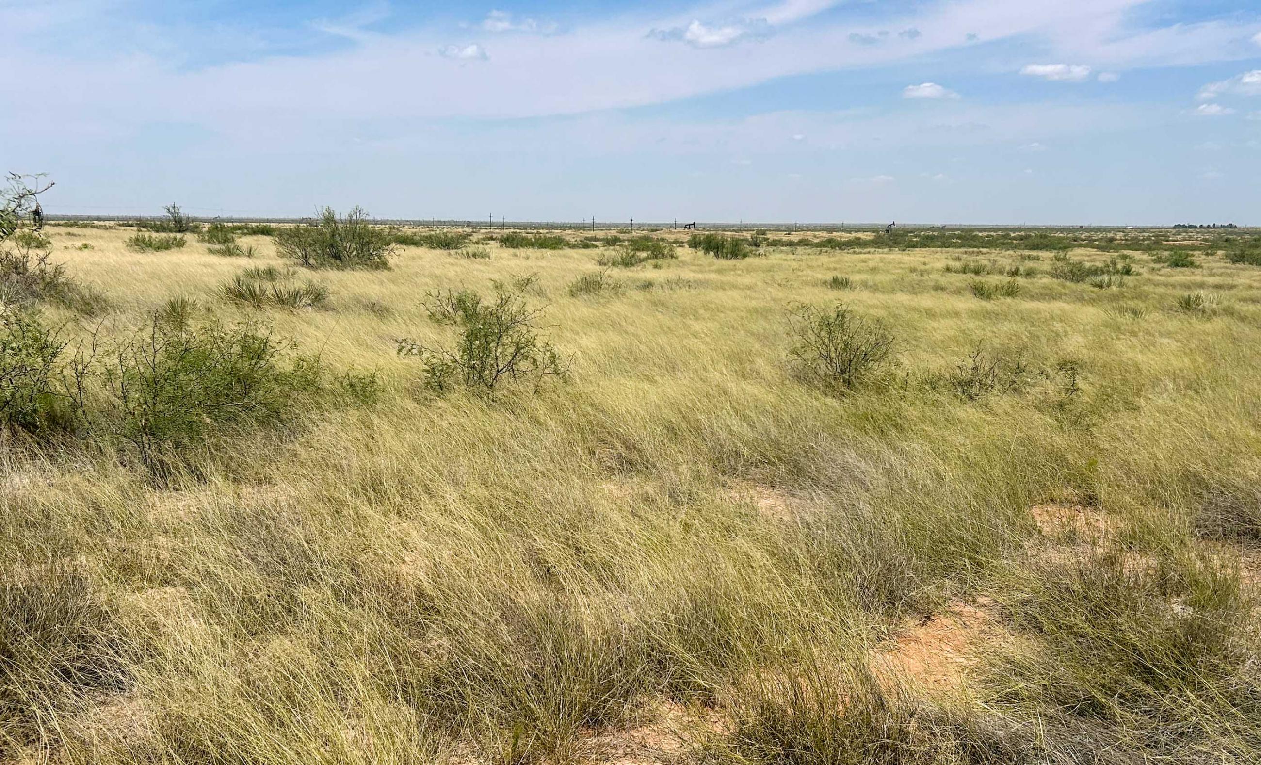 DASCO Cattle Company, LLC Ranch property photograph 5