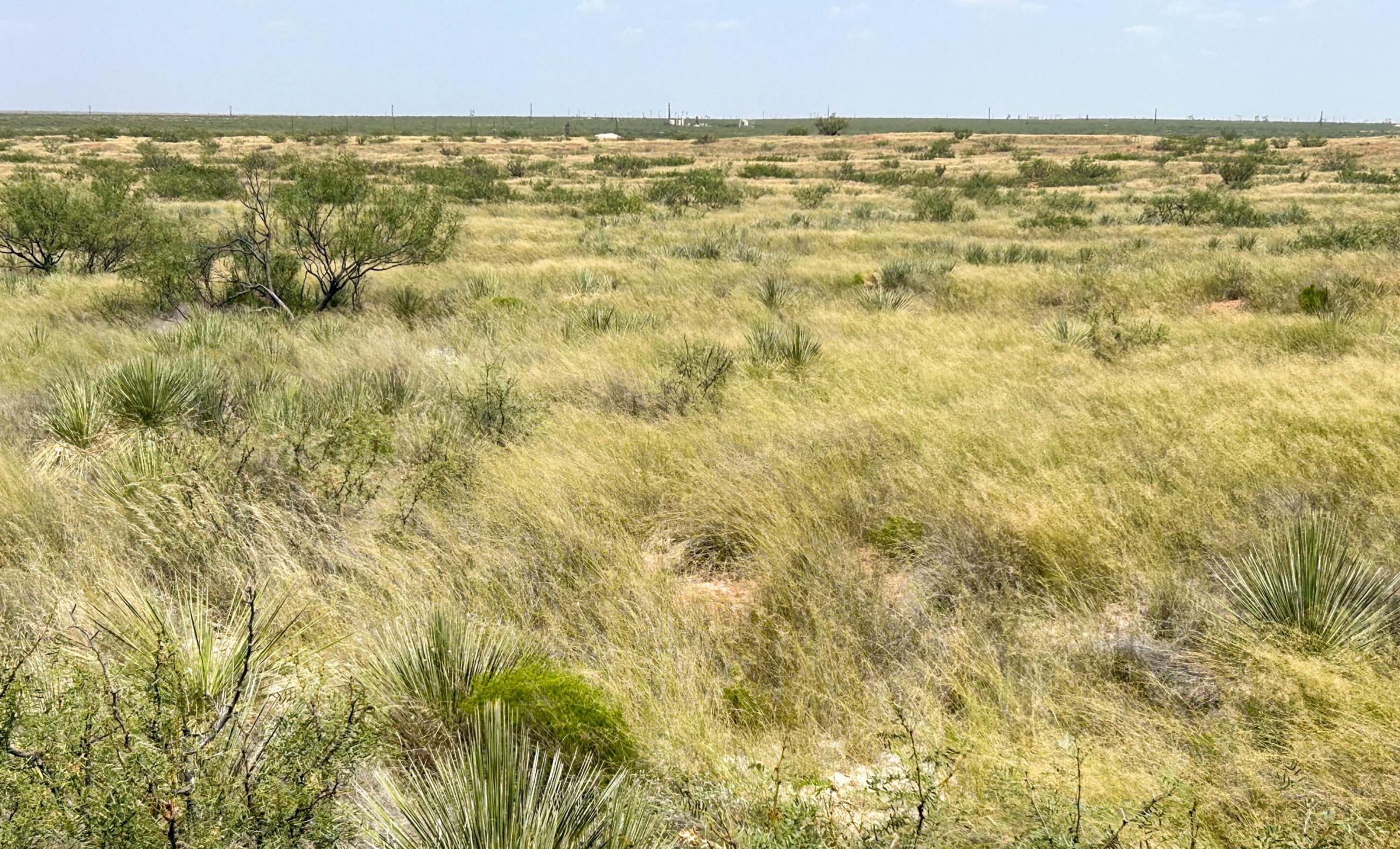 DASCO Cattle Company, LLC Ranch property photograph 25