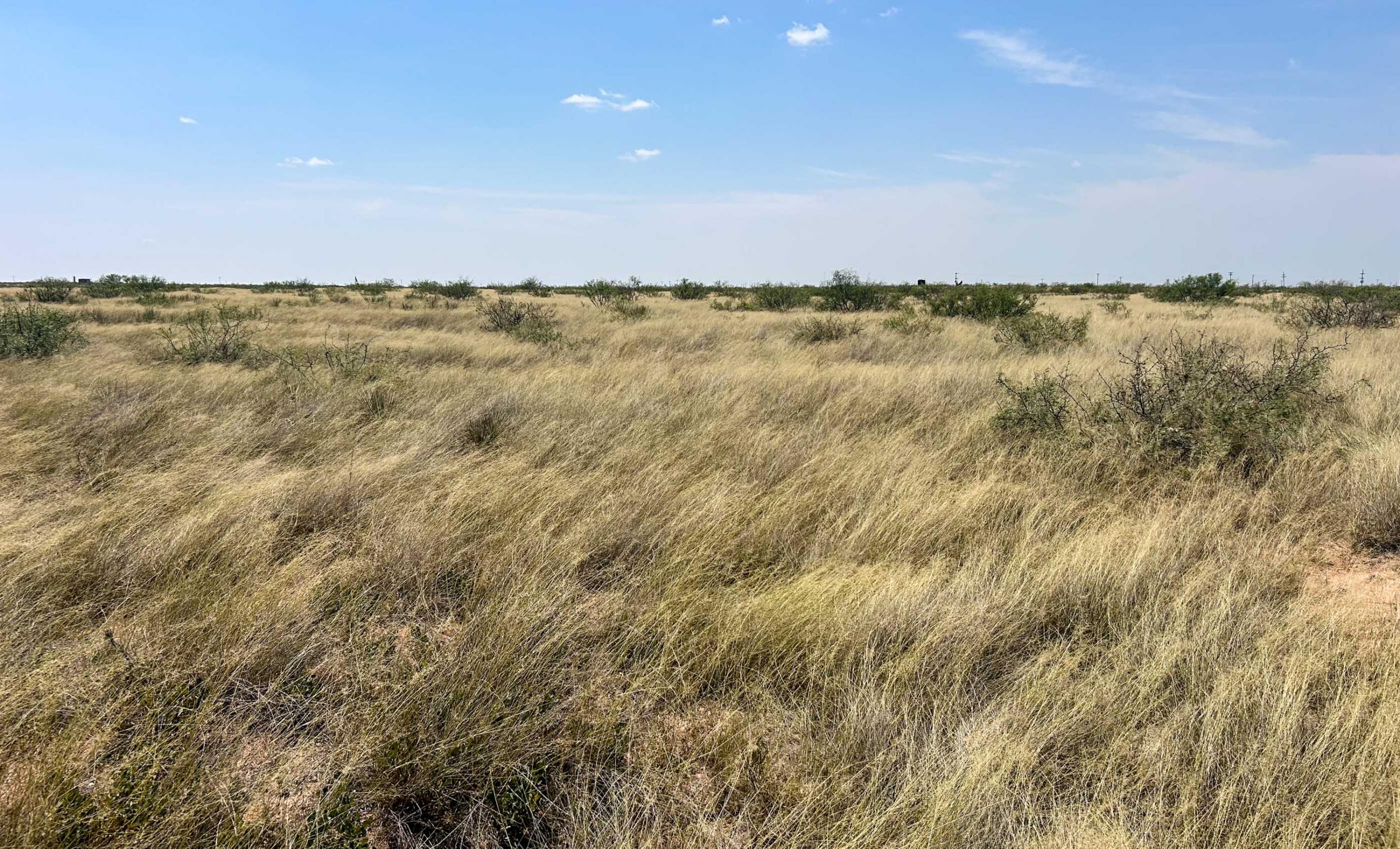 DASCO Cattle Company, LLC Ranch property photograph 4