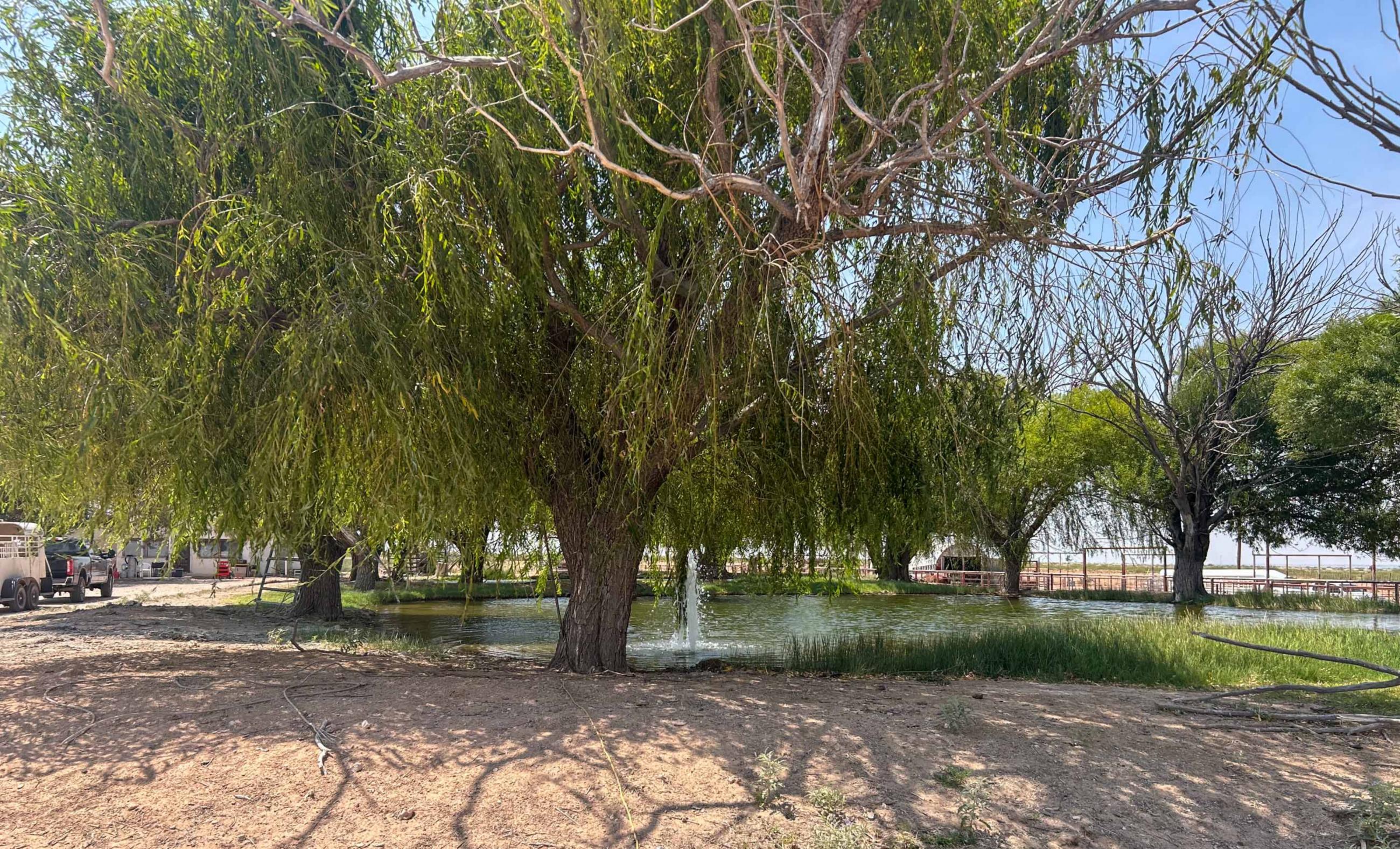 DASCO Cattle Company, LLC Ranch property photograph 10