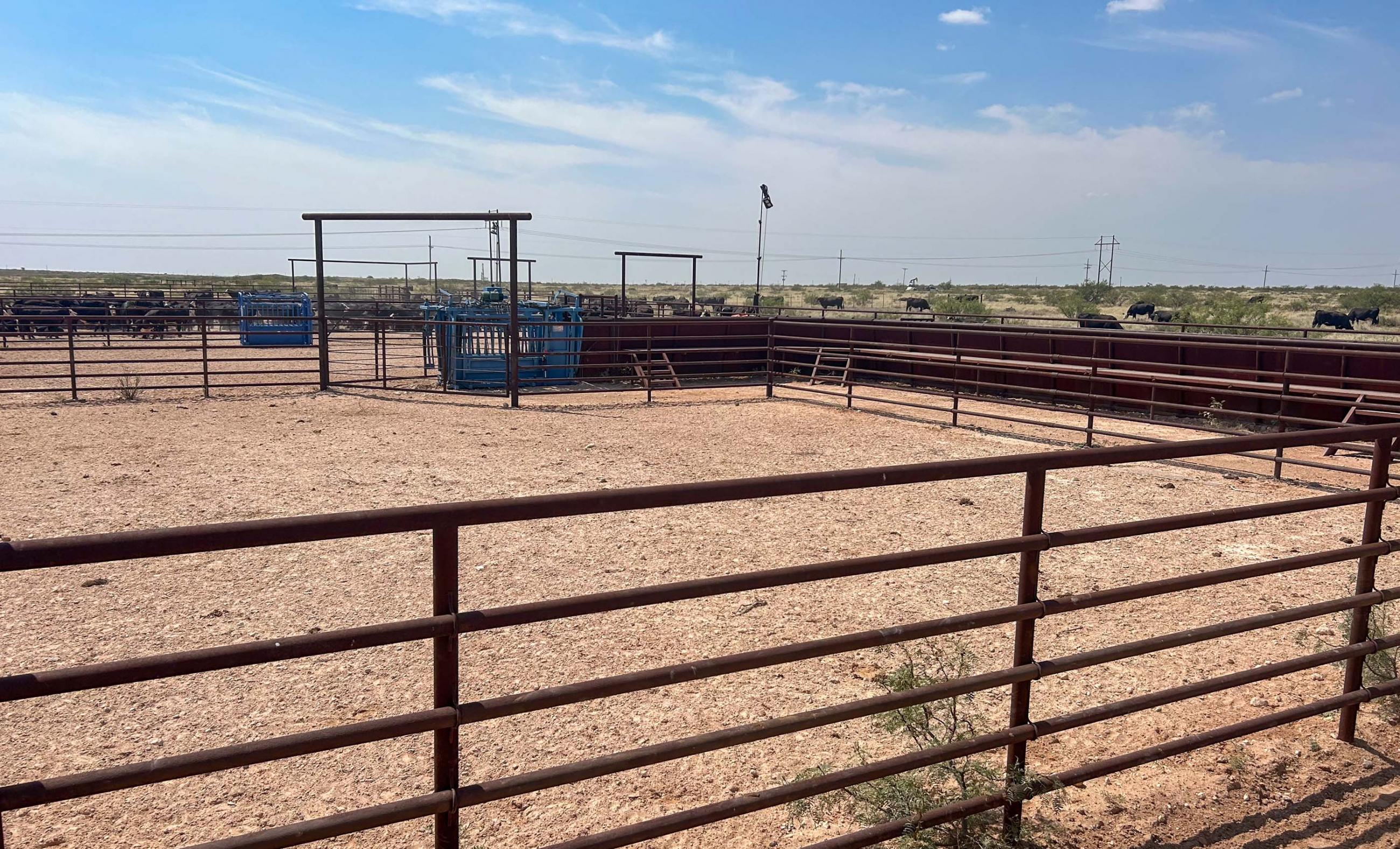 DASCO Cattle Company, LLC Ranch property photograph 12